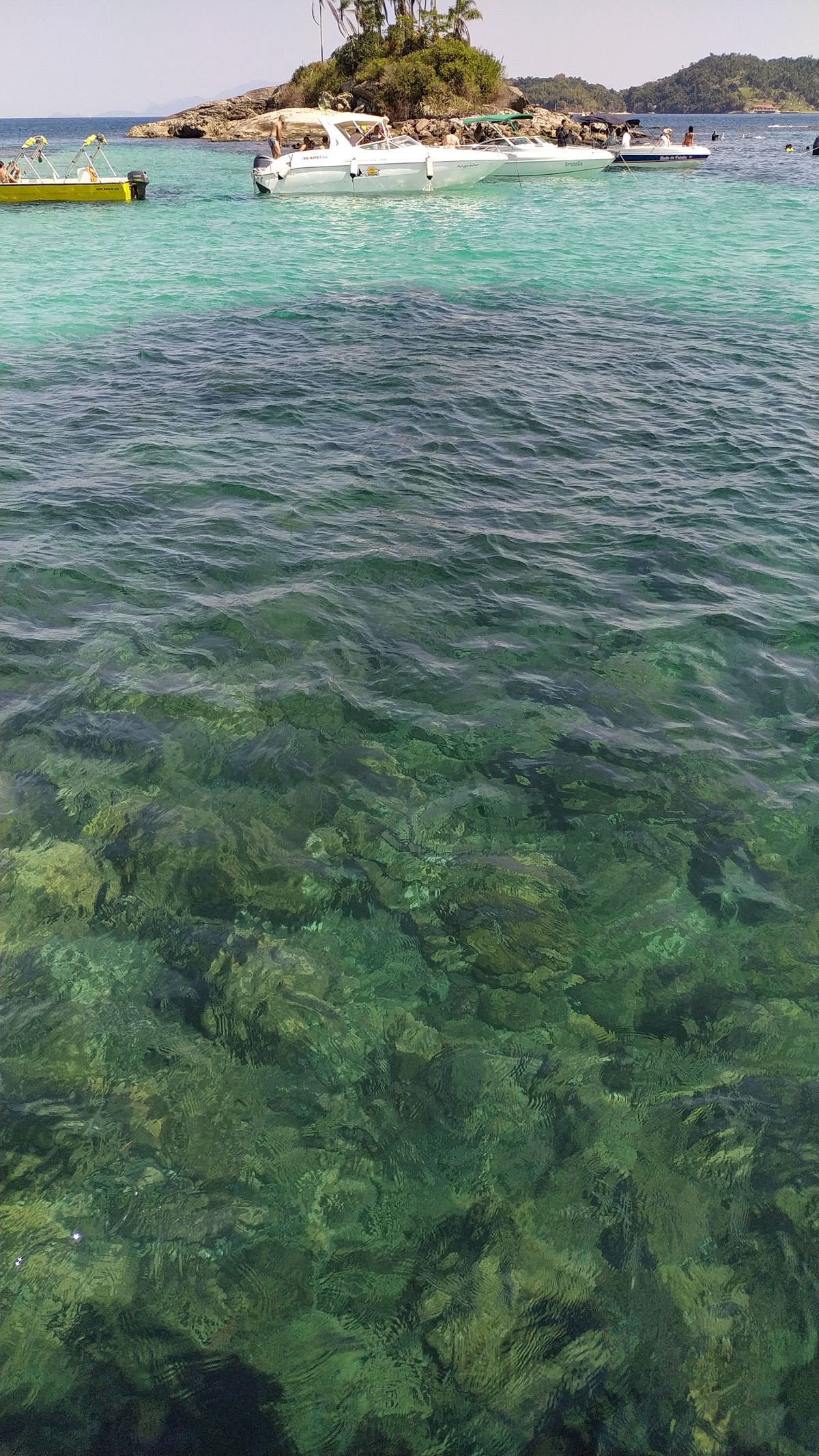 Ilha Botinas