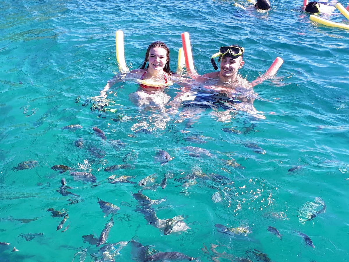 Ilha Botinas