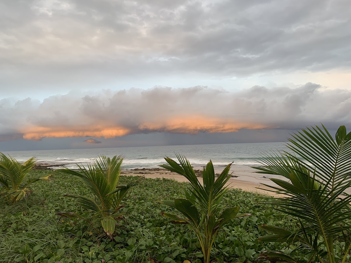 Beach Camping Brazil