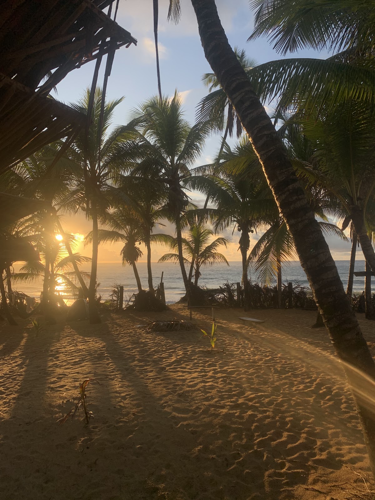 Beach Camping Brazil