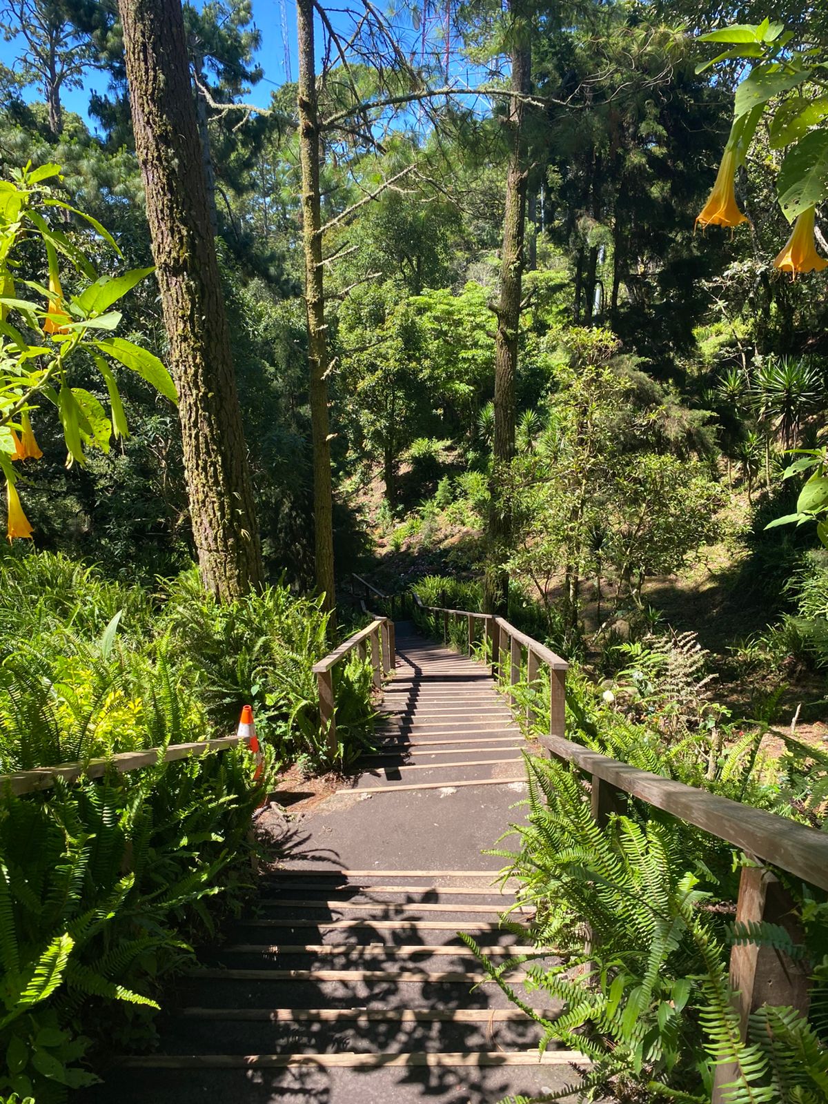 Parque Nacional El Boquerón