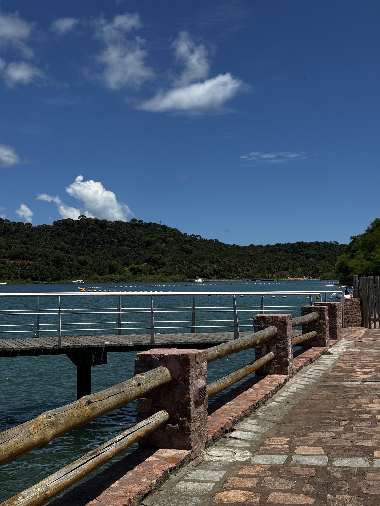 ROCHA NÁUTICA - Passeios de Lancha na Ilha dos Frades