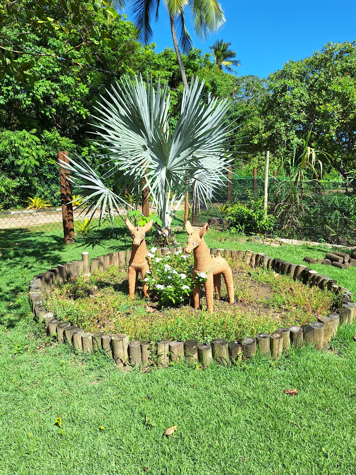 Casita Baiana Aluguel Temporada Ilha Itaparica Bahia - Casa de Praia