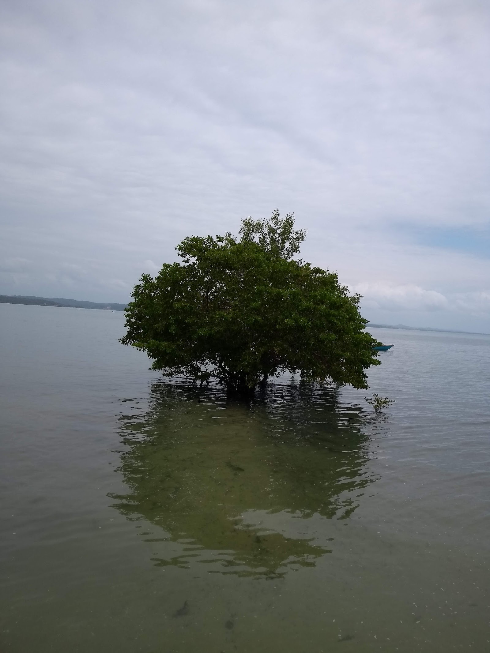 Praia do Araça