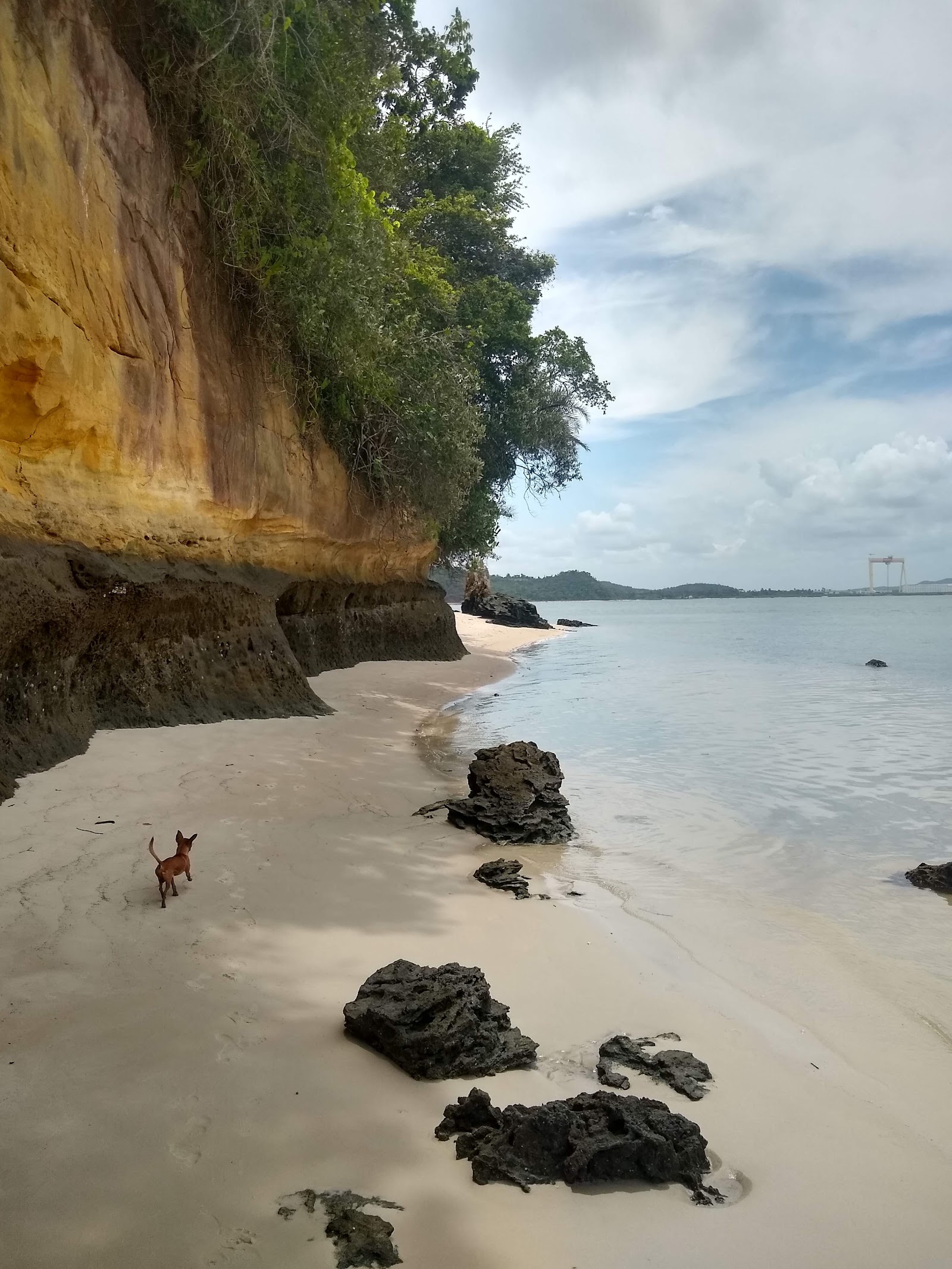 Praia da Pedra Mole - Barra do Paraguaçu