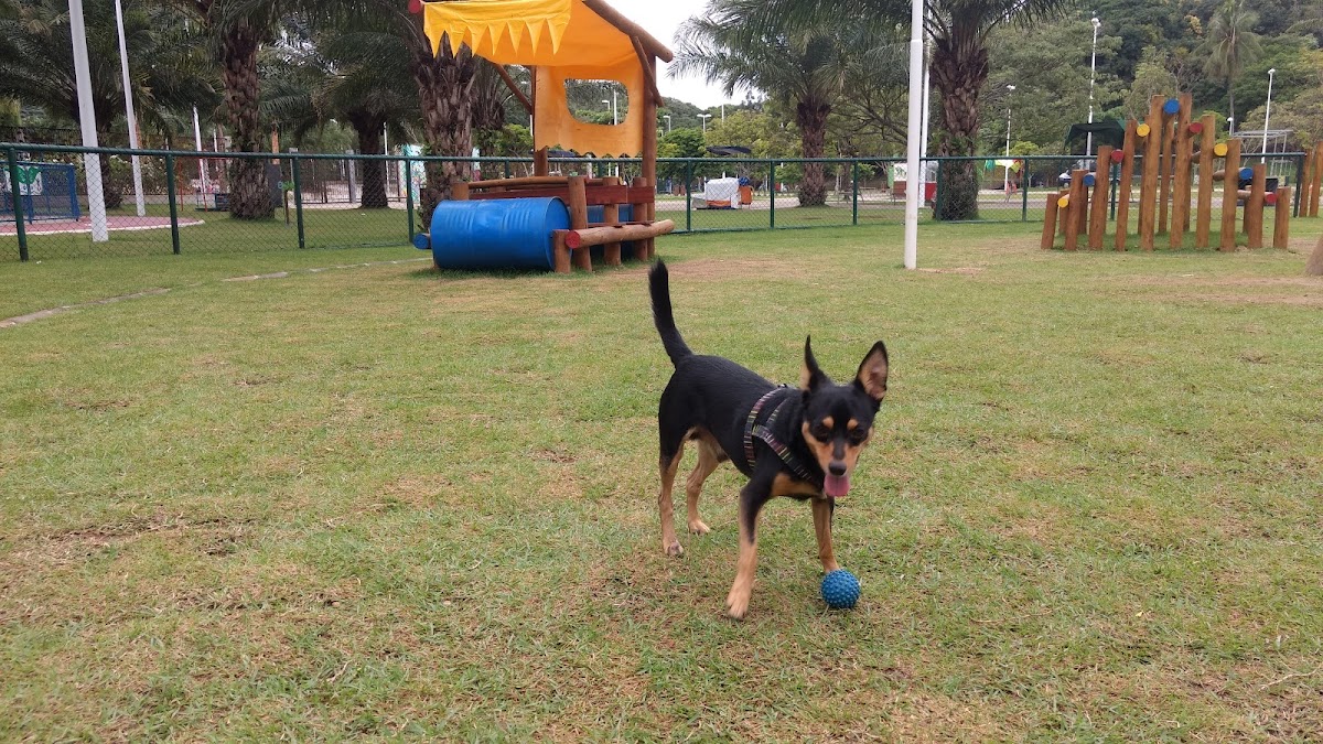 Parque Social