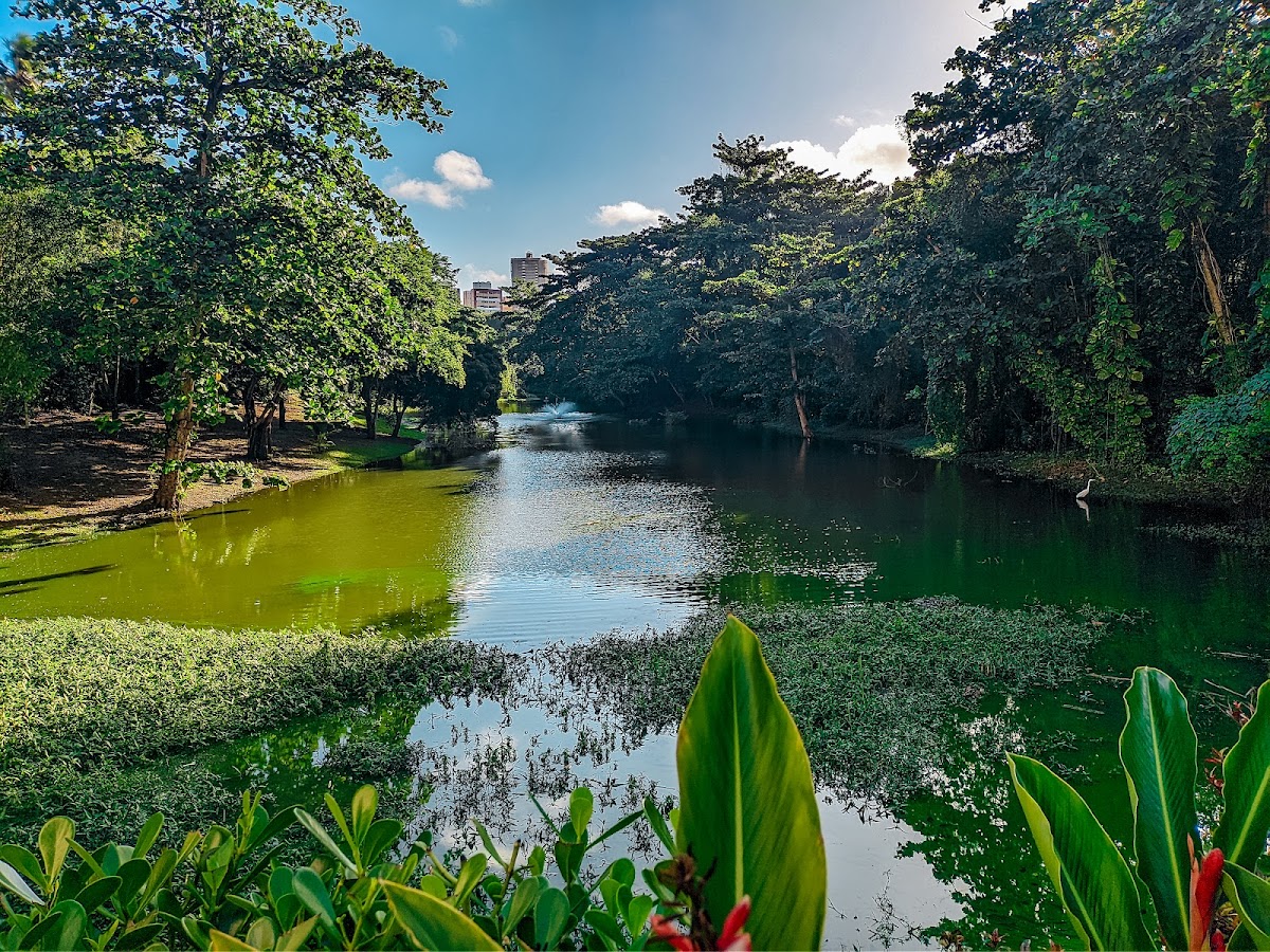 Parque Lagoa dos Pássaros