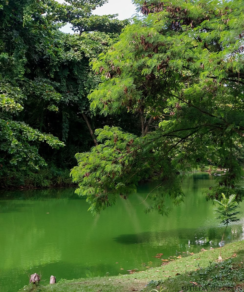 Parque Lagoa dos Pássaros