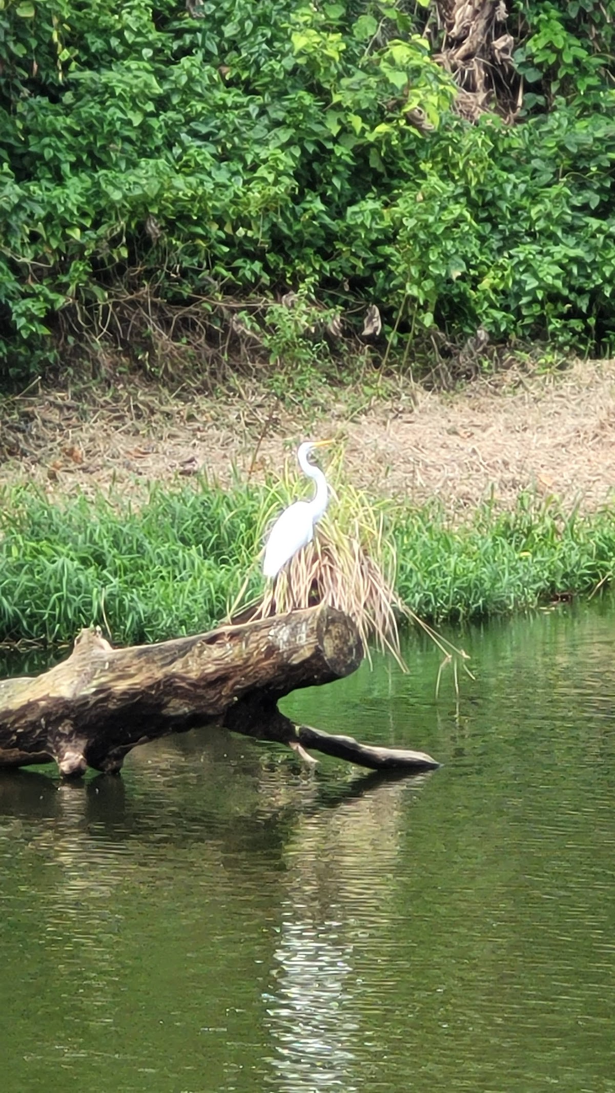 Parque Lagoa dos Pássaros