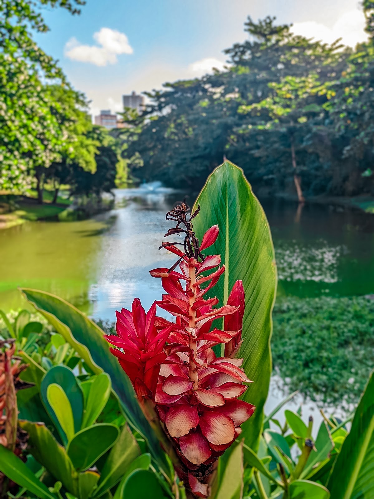 Parque Lagoa dos Pássaros