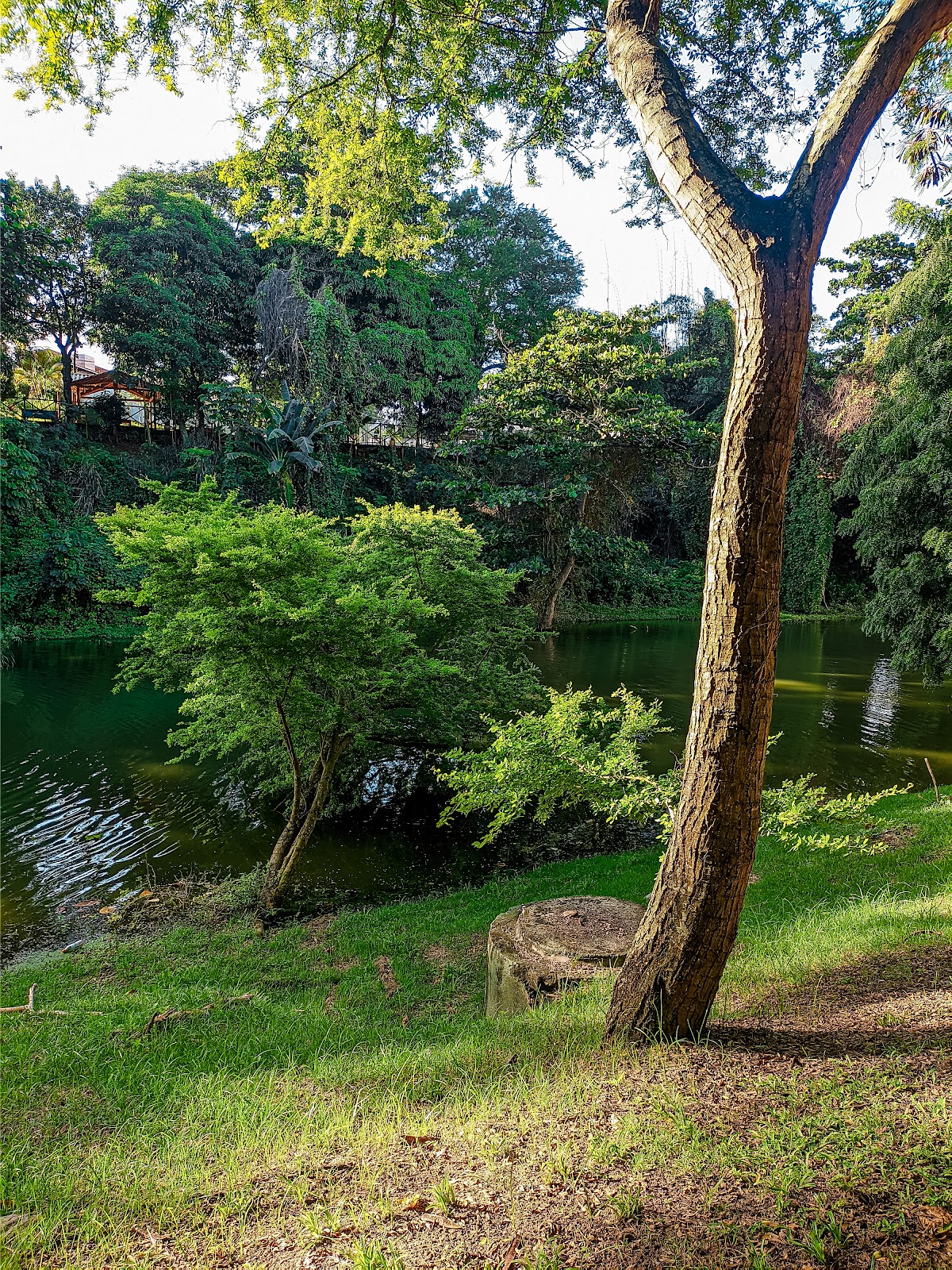 Parque Lagoa dos Pássaros