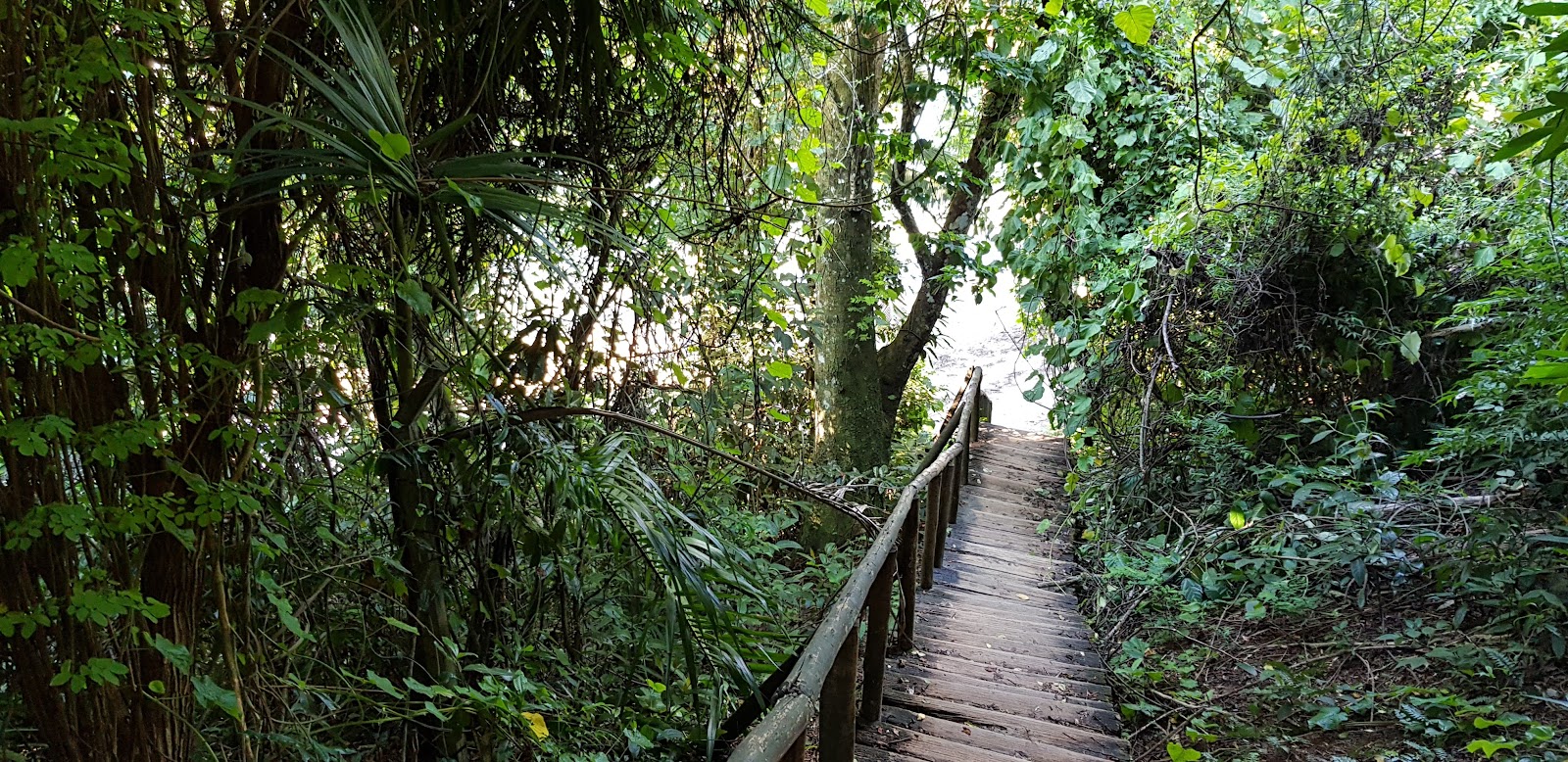 Praia do Tanguá