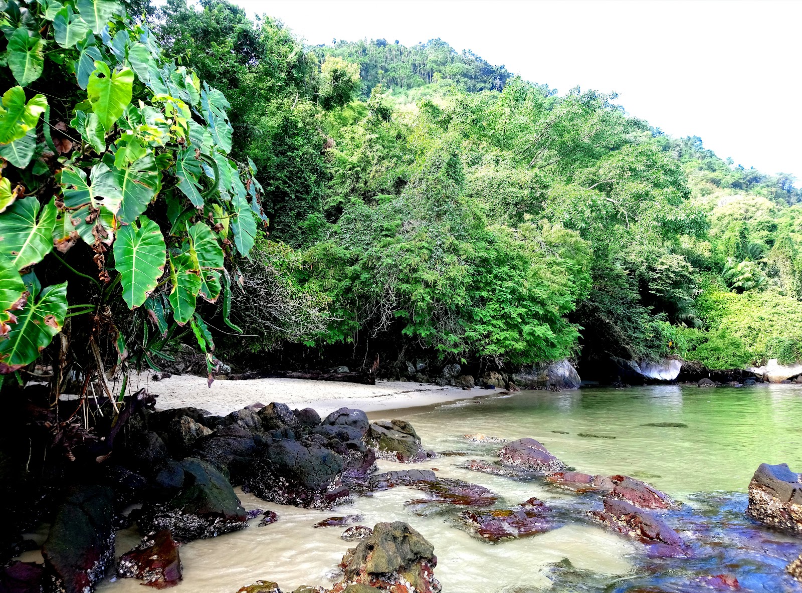 Praia do Tanguá