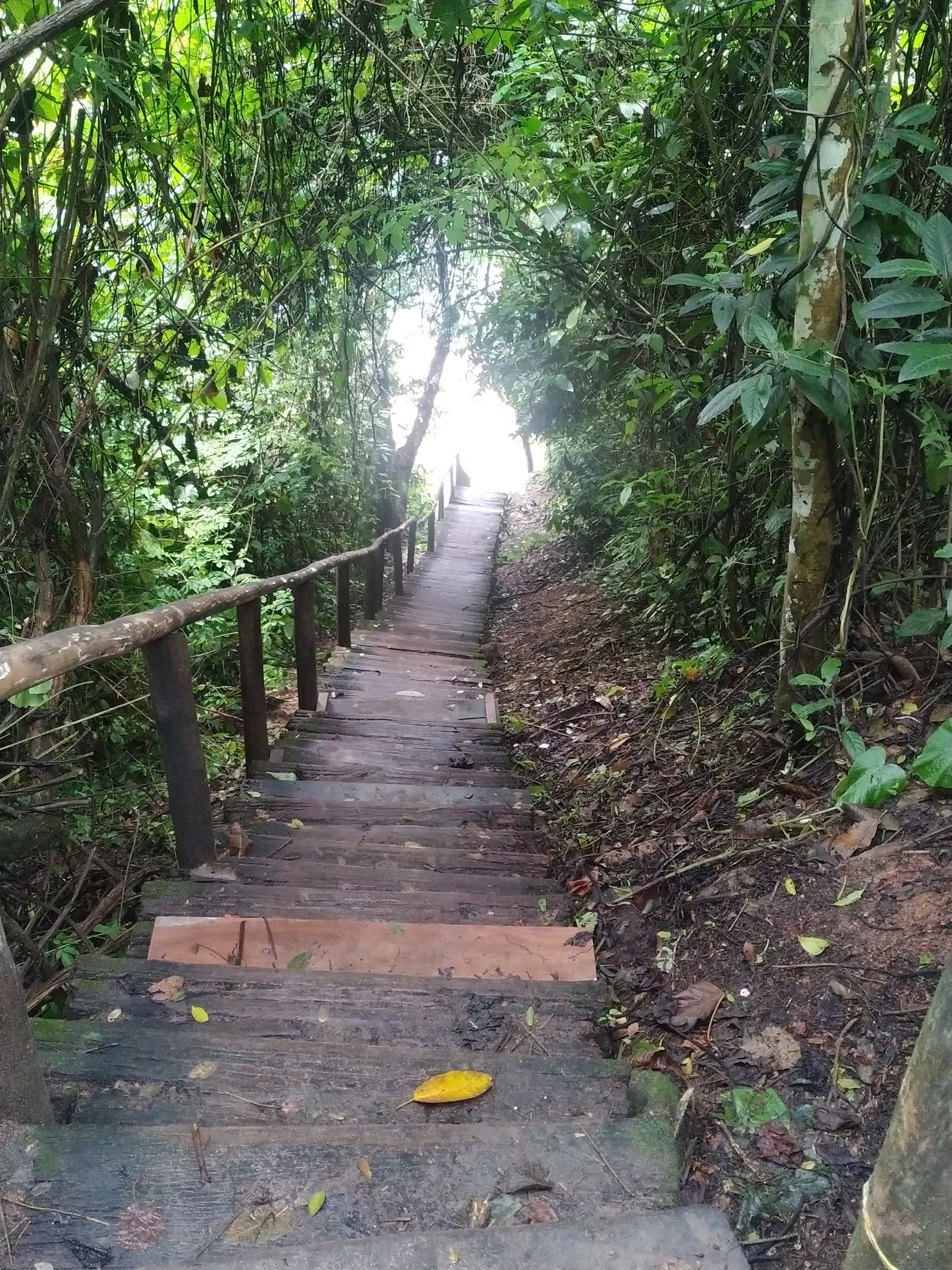 Praia Do Tanguazinho