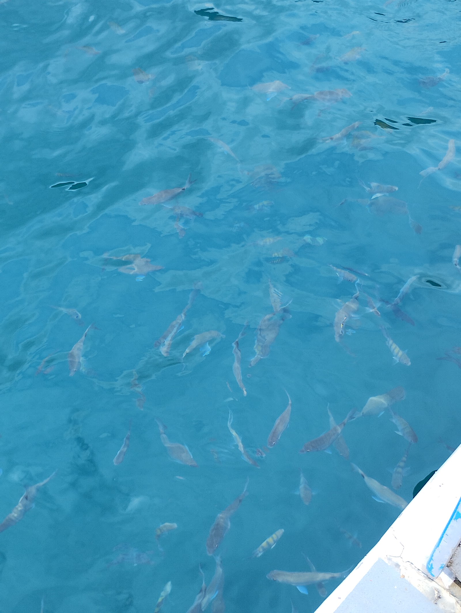 ANGRA OCEAN TURISMO