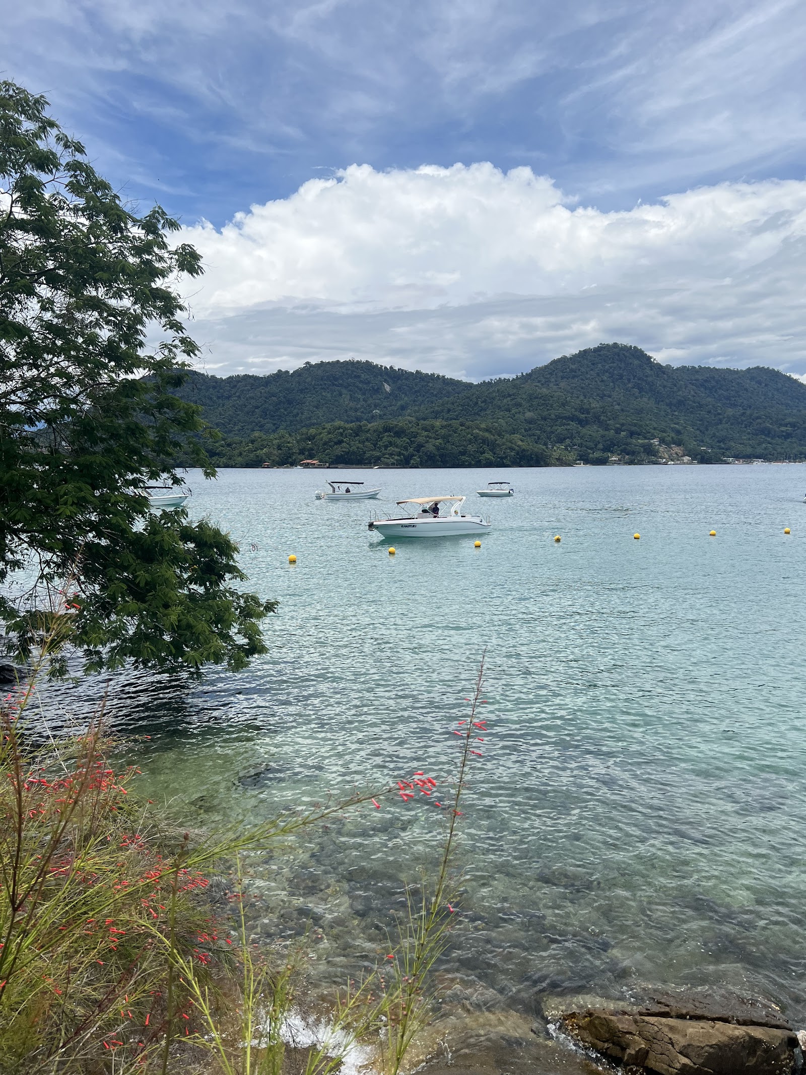 Agência De Mergulho e Passeios de Lancha Angra Dos Reis