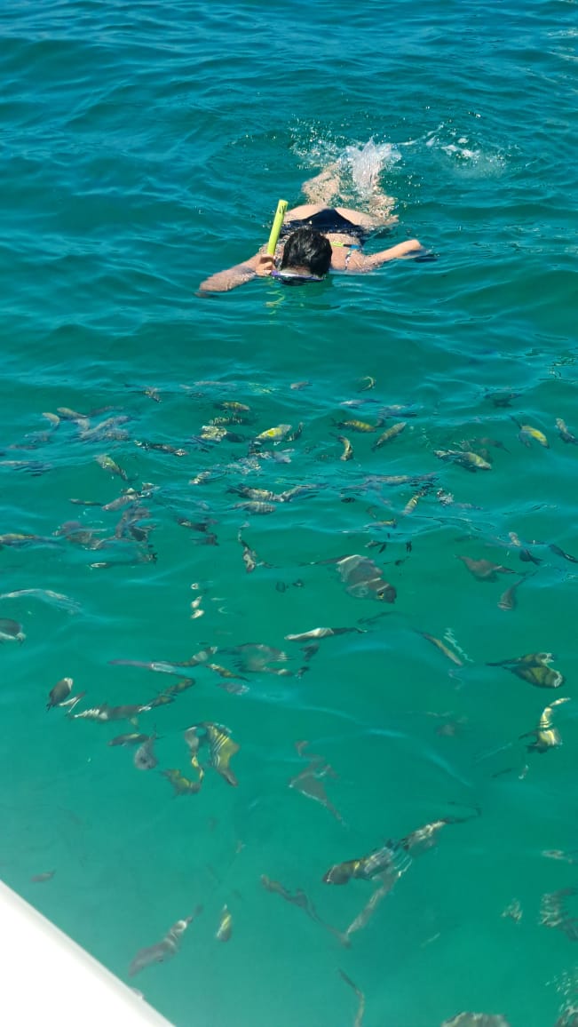 Absoluta's Tour Angra dos Reis