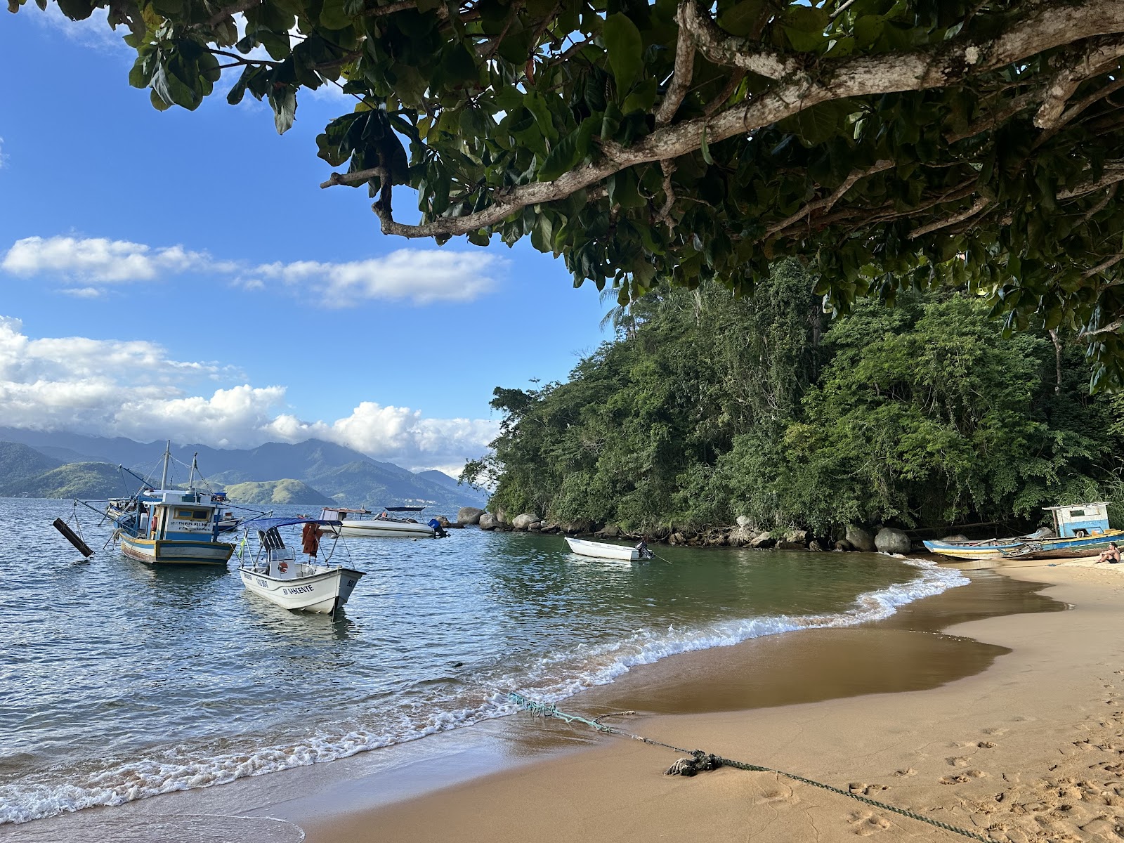 Pirata Rei Turismo