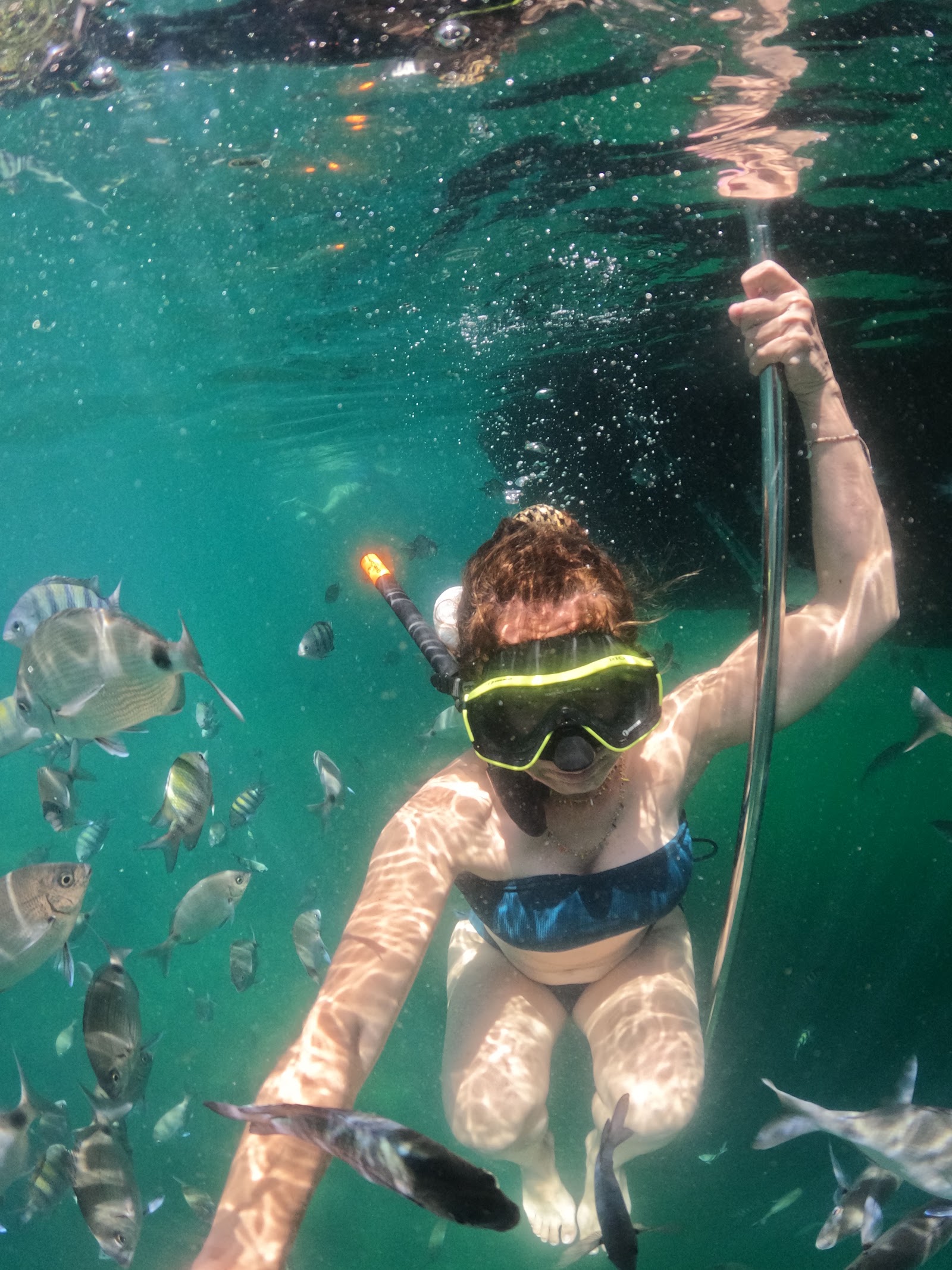 Pirata Rei Turismo