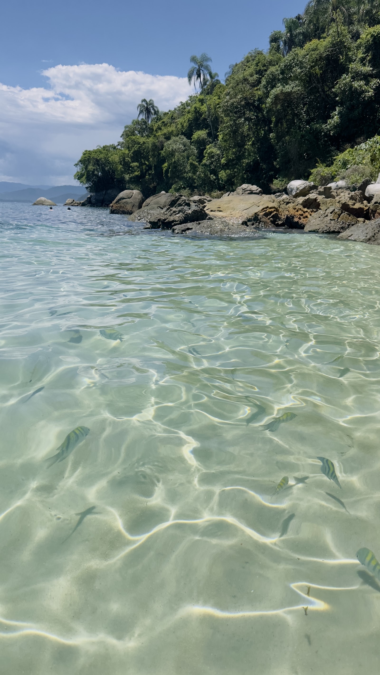 Al Mare Angra - Passeios Náuticos