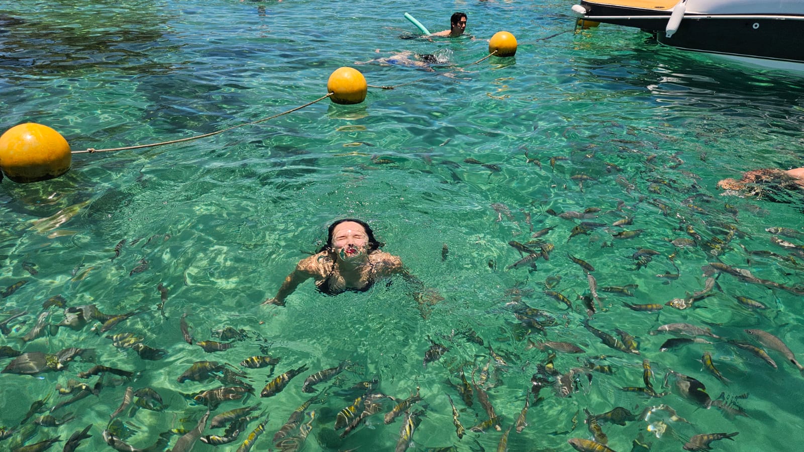 Al Mare Angra - Passeios Náuticos