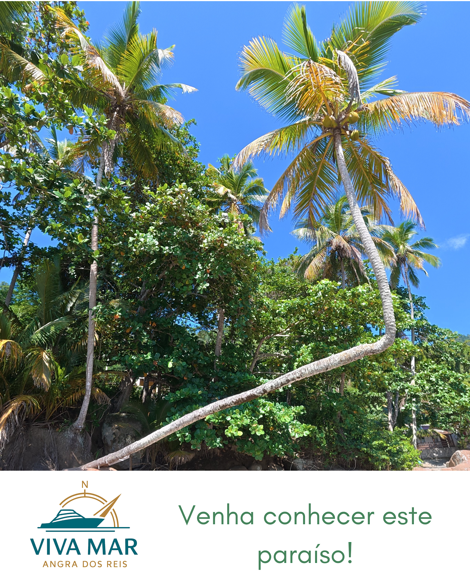 VivaMar Angra - Logística e Turismo Náutico