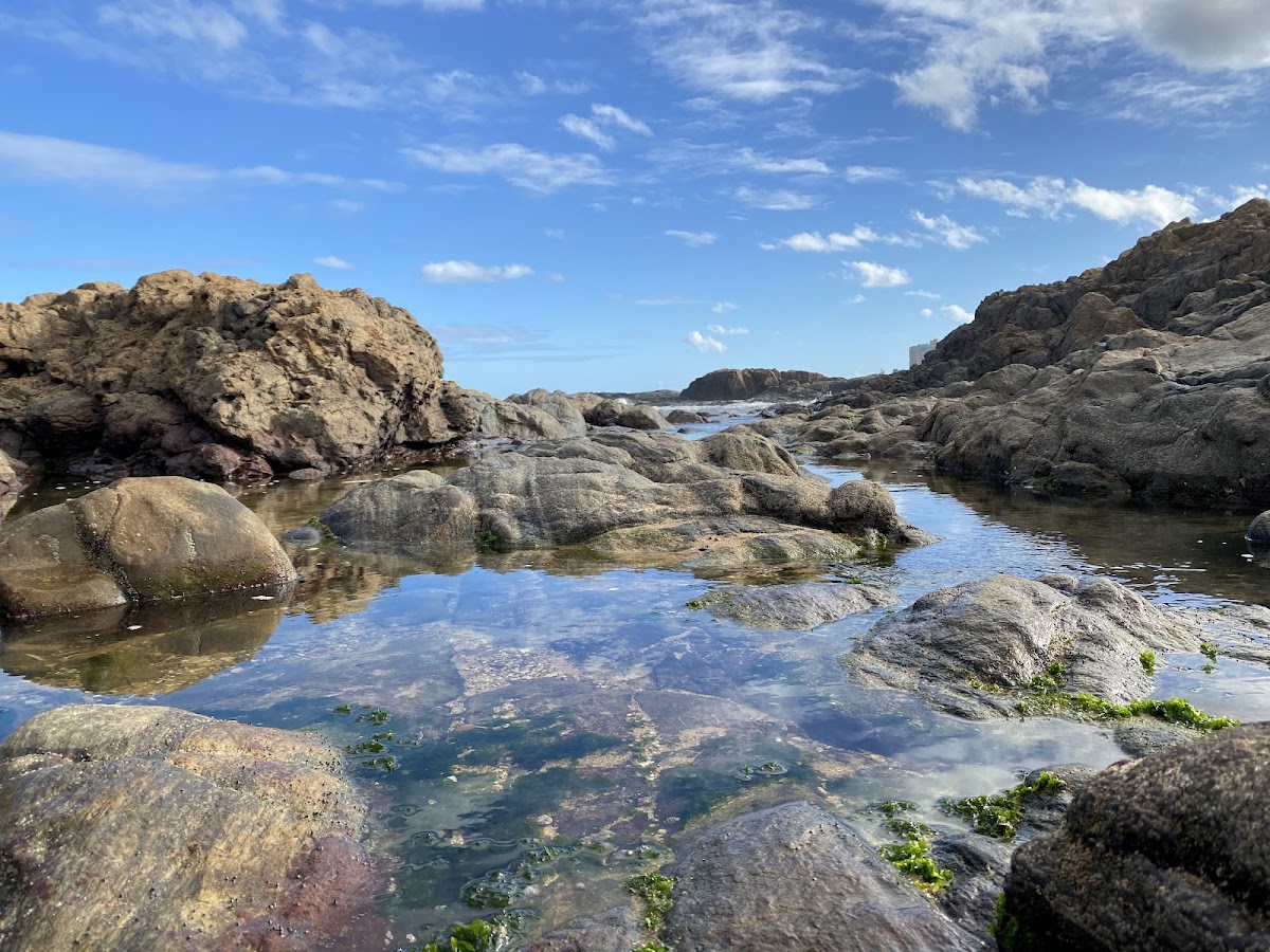 Praia do Chega Nego
