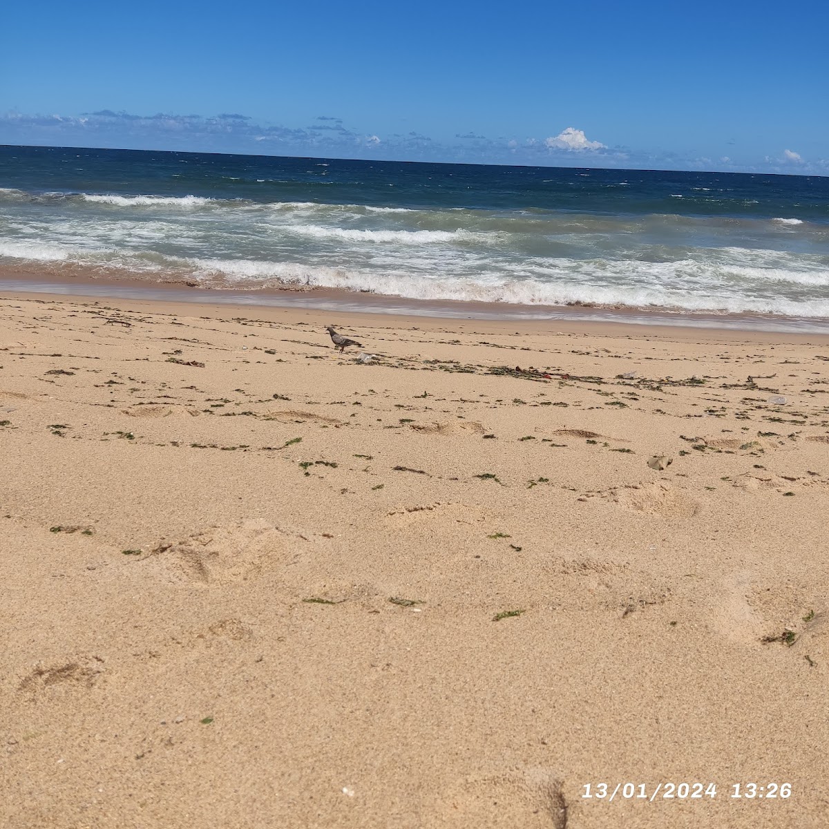 Praia do Chega Nego