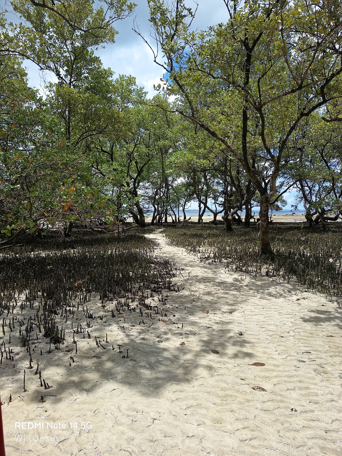 Recanto Do Mangue