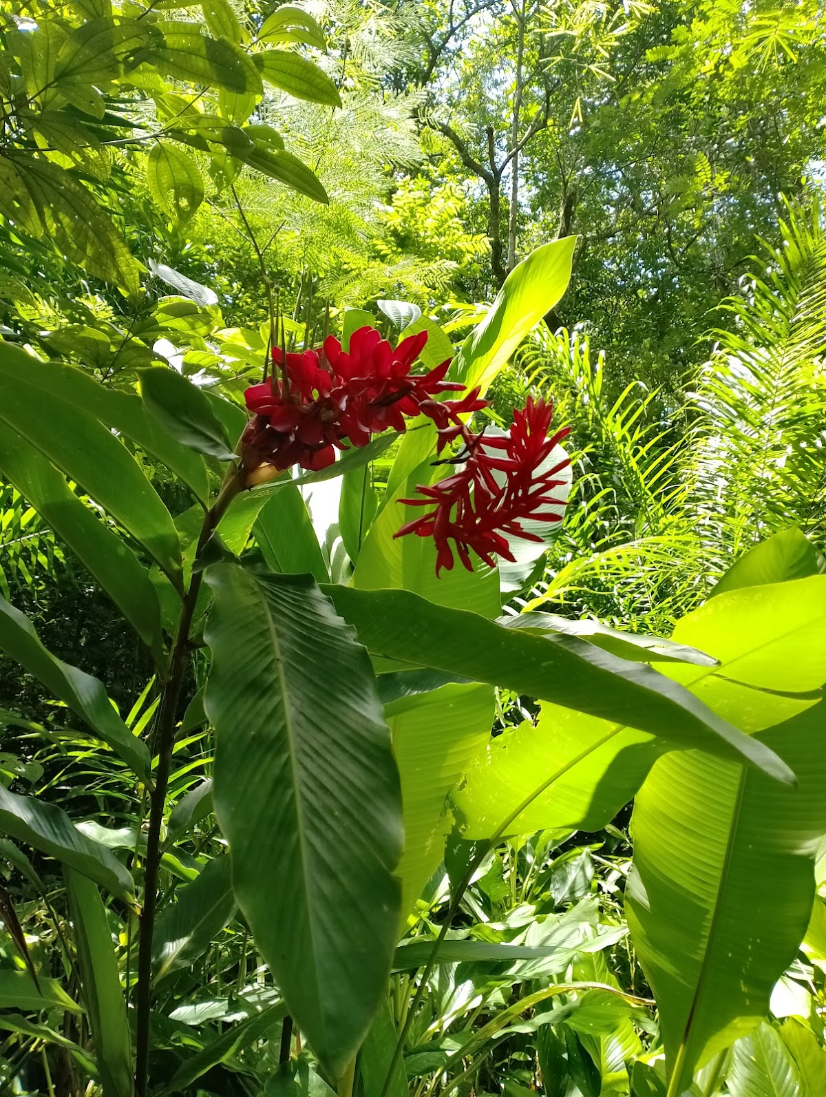 Área de Preservação Ambiental Venceslau Monteiro