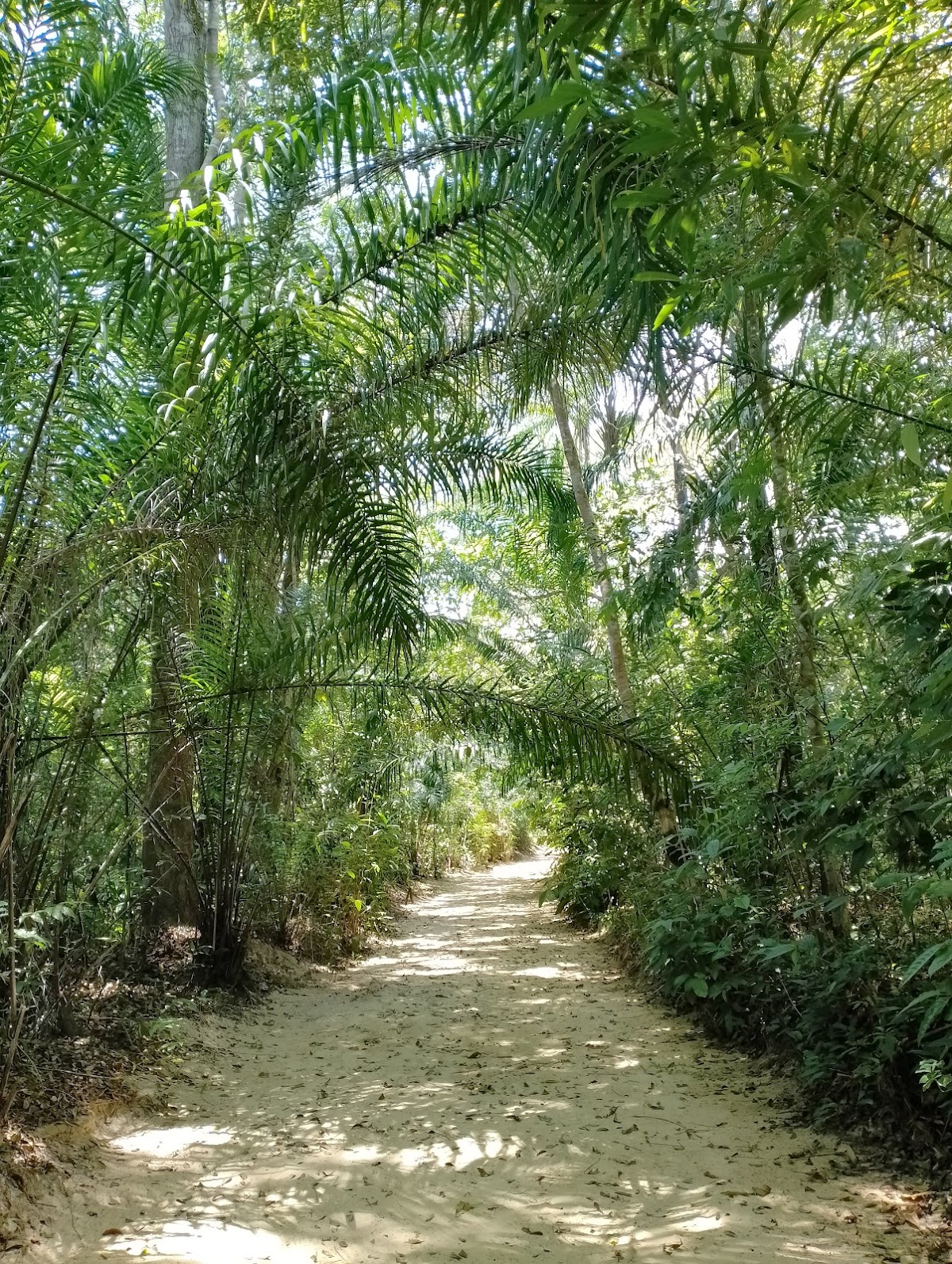 Área de Preservação Ambiental Venceslau Monteiro