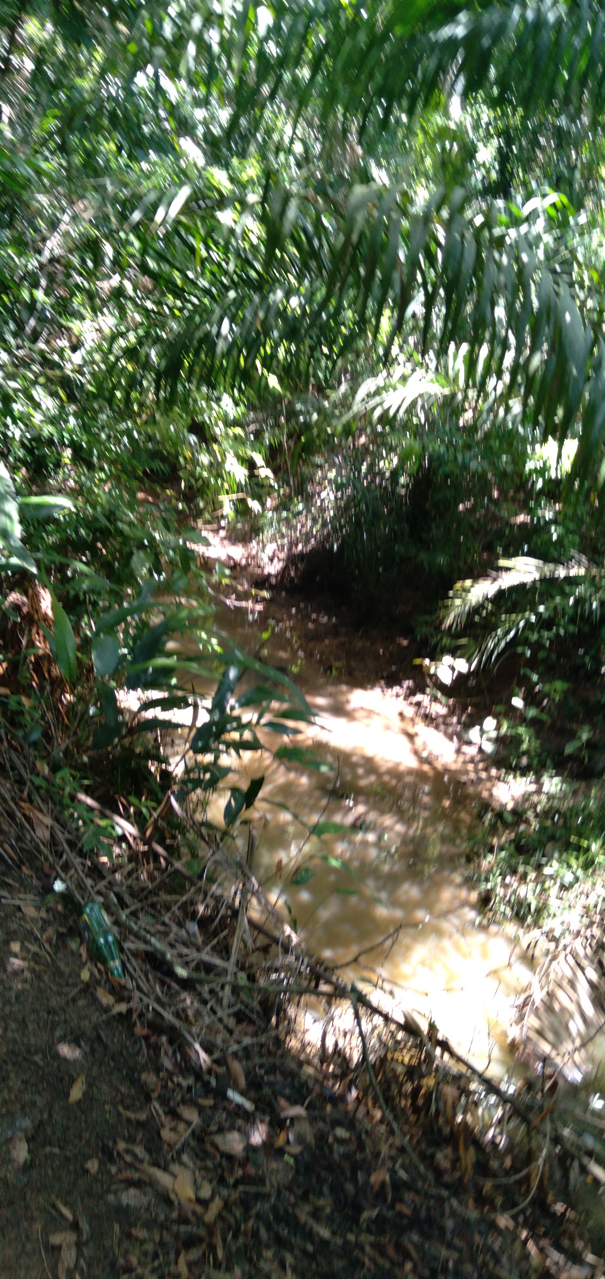 Área de Preservação Ambiental Venceslau Monteiro