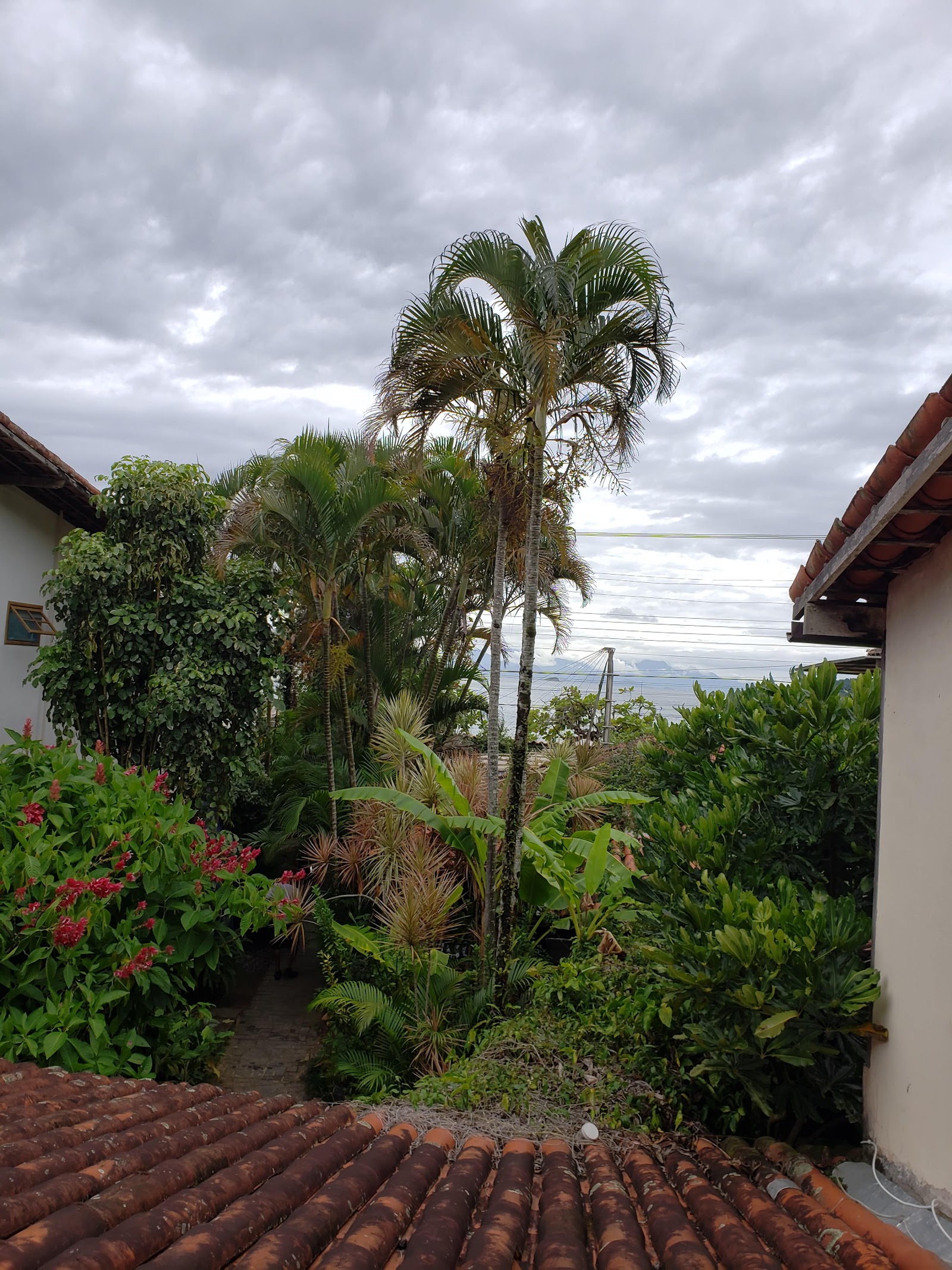 Pousada Tropicana