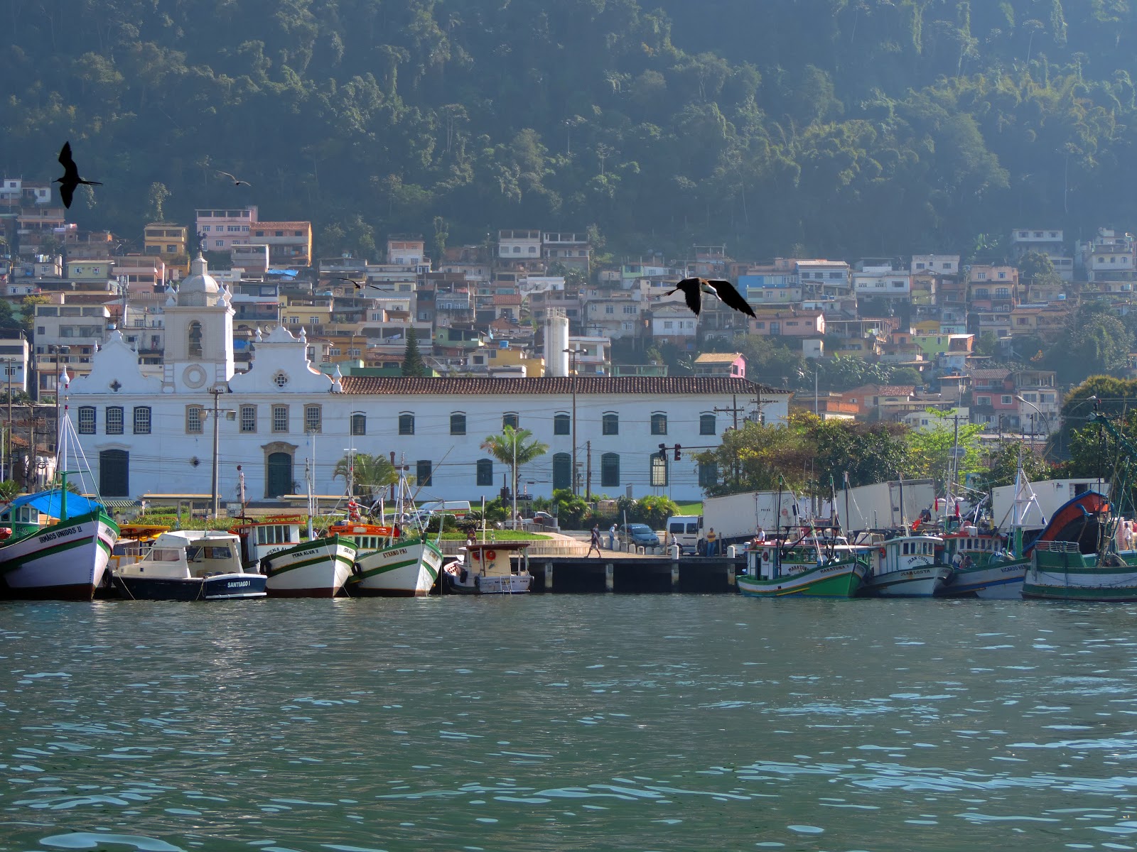Sodalicio Ordem Terceira do Carmo-Angra dos Reis