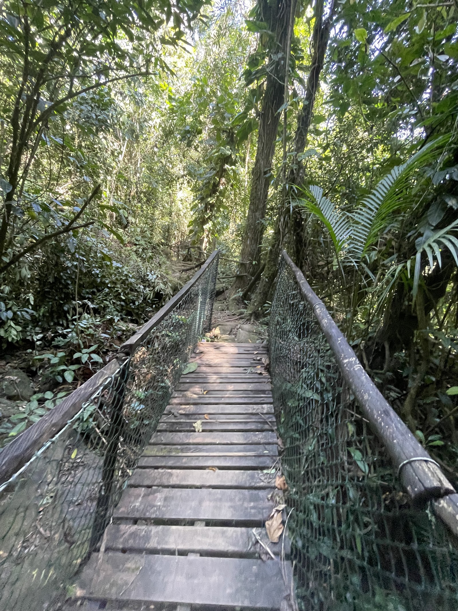 Trilha Porã