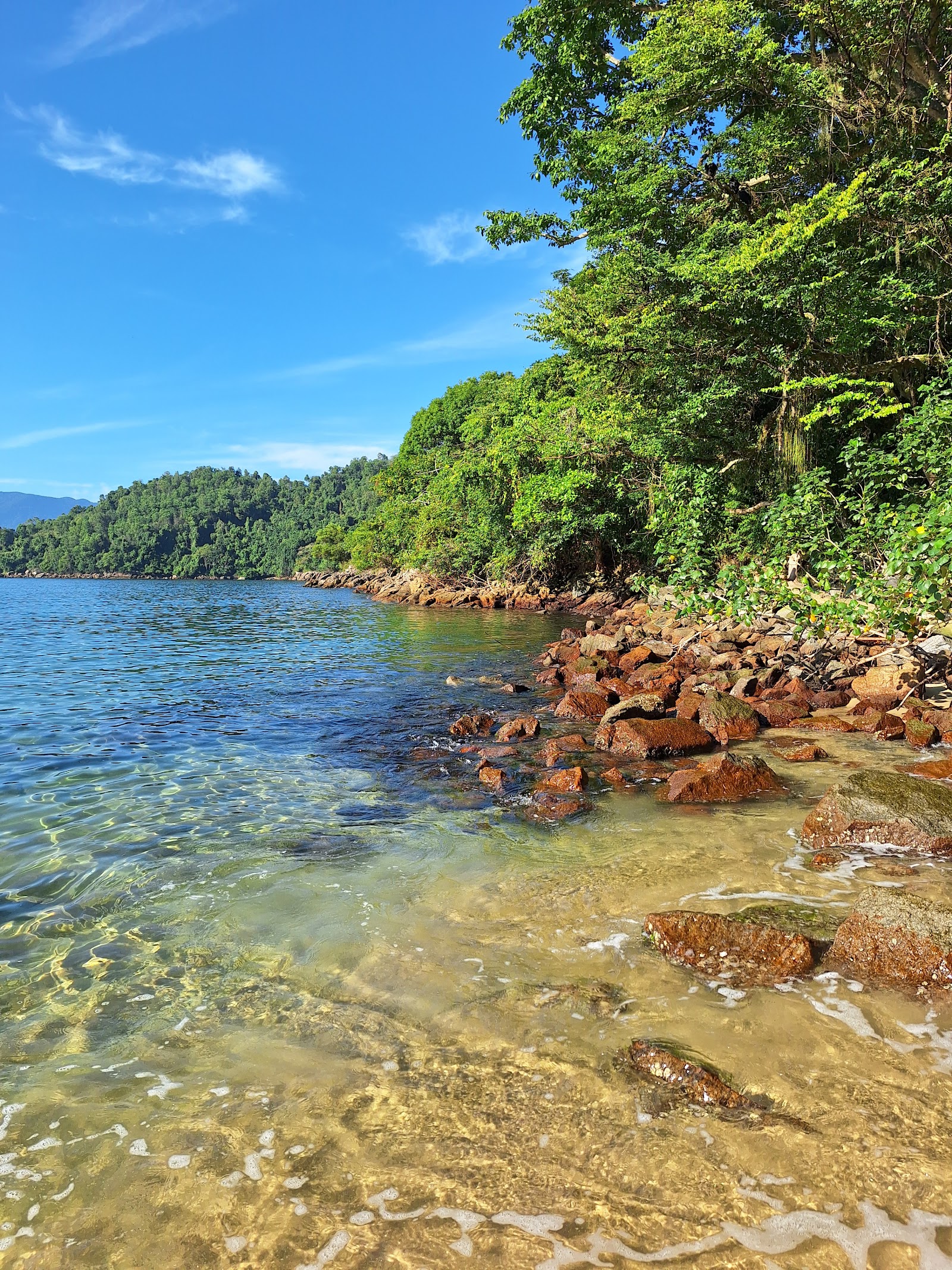 Trilha para Praia da Sororoca