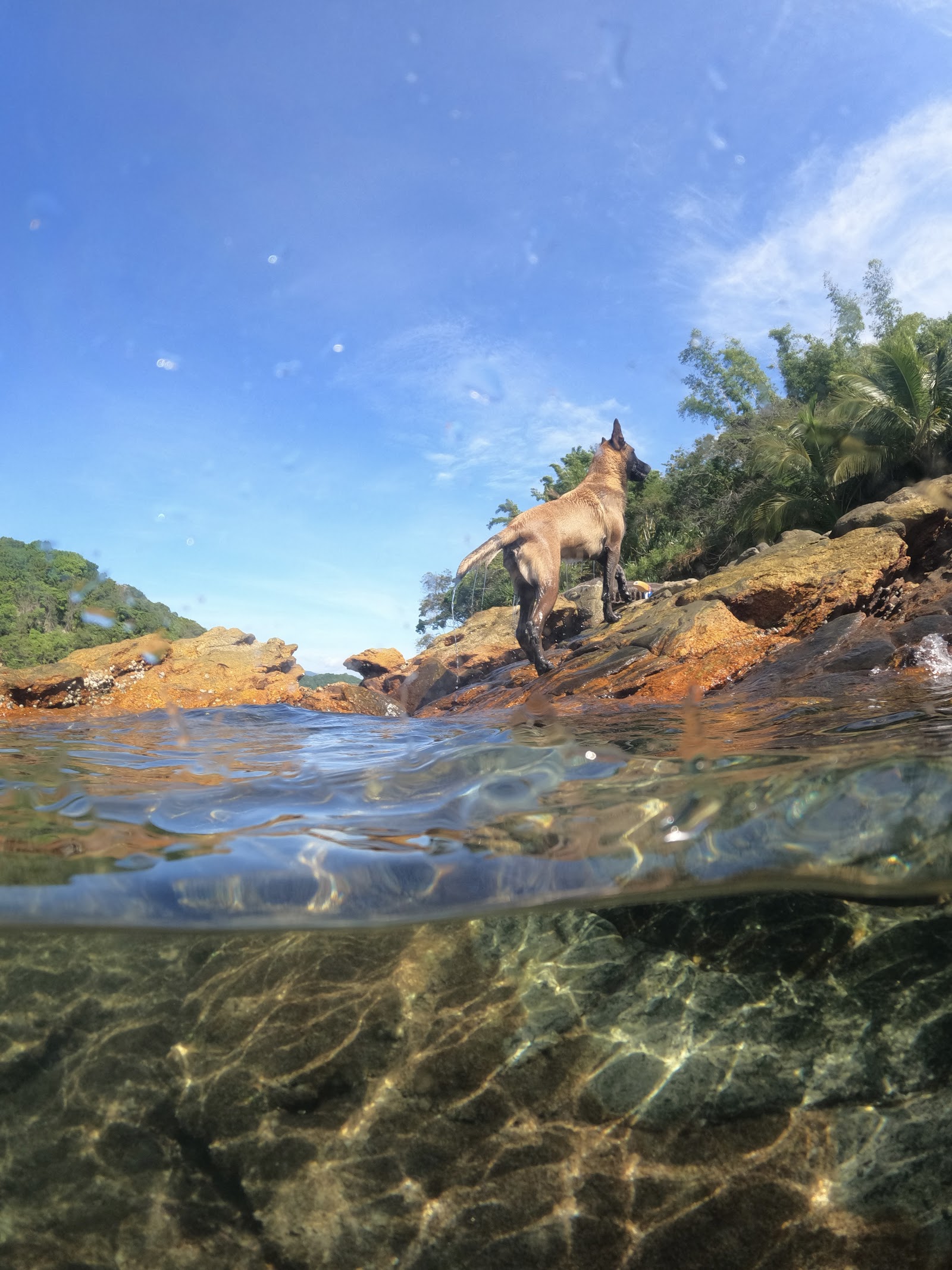 Trilha para Praia Caetés