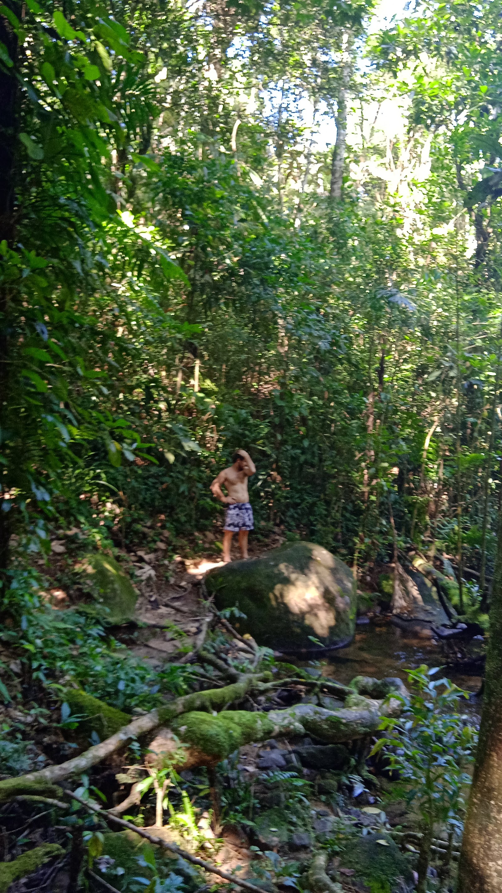 Cachoeira do Palmital