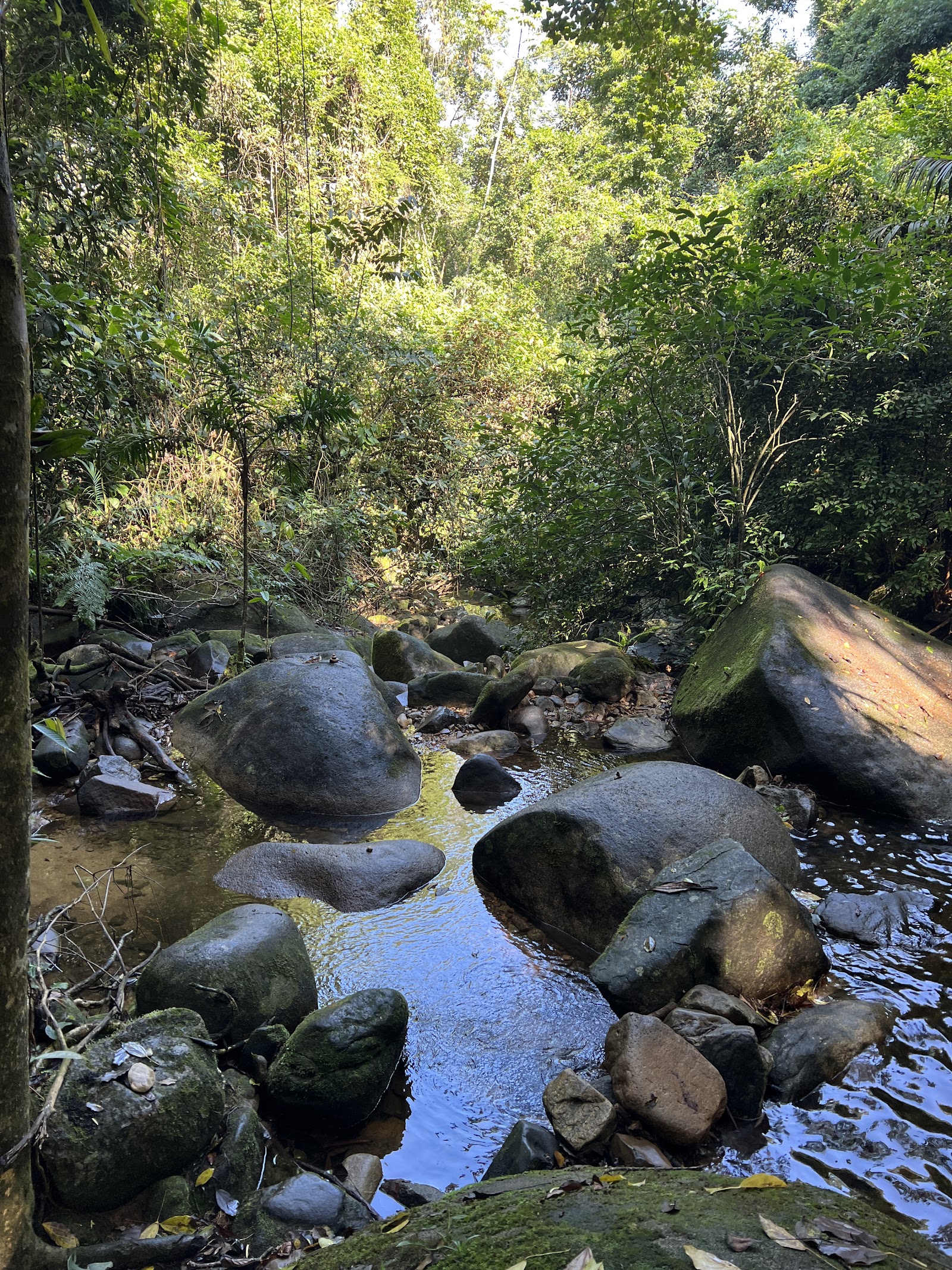 Cachoeira do Palmital