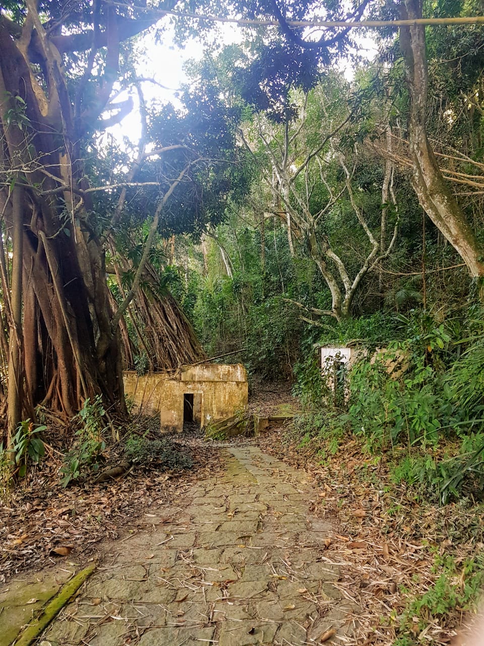 Praia da Trilha