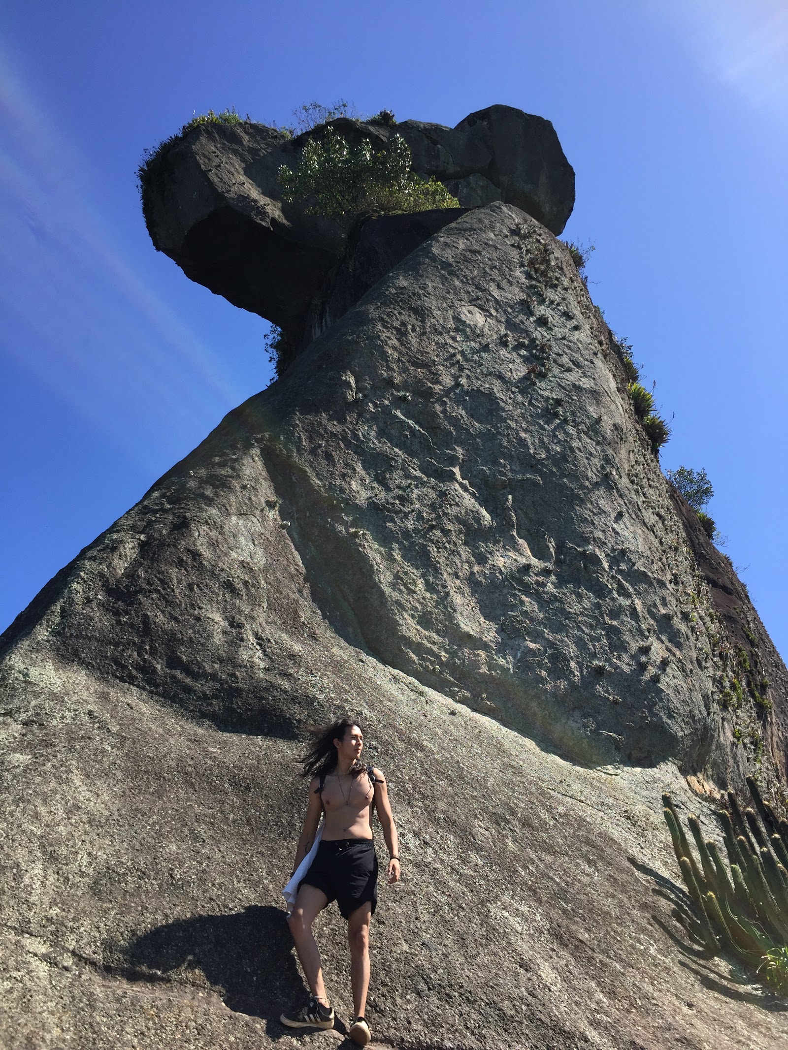 Pico do Papagaio
