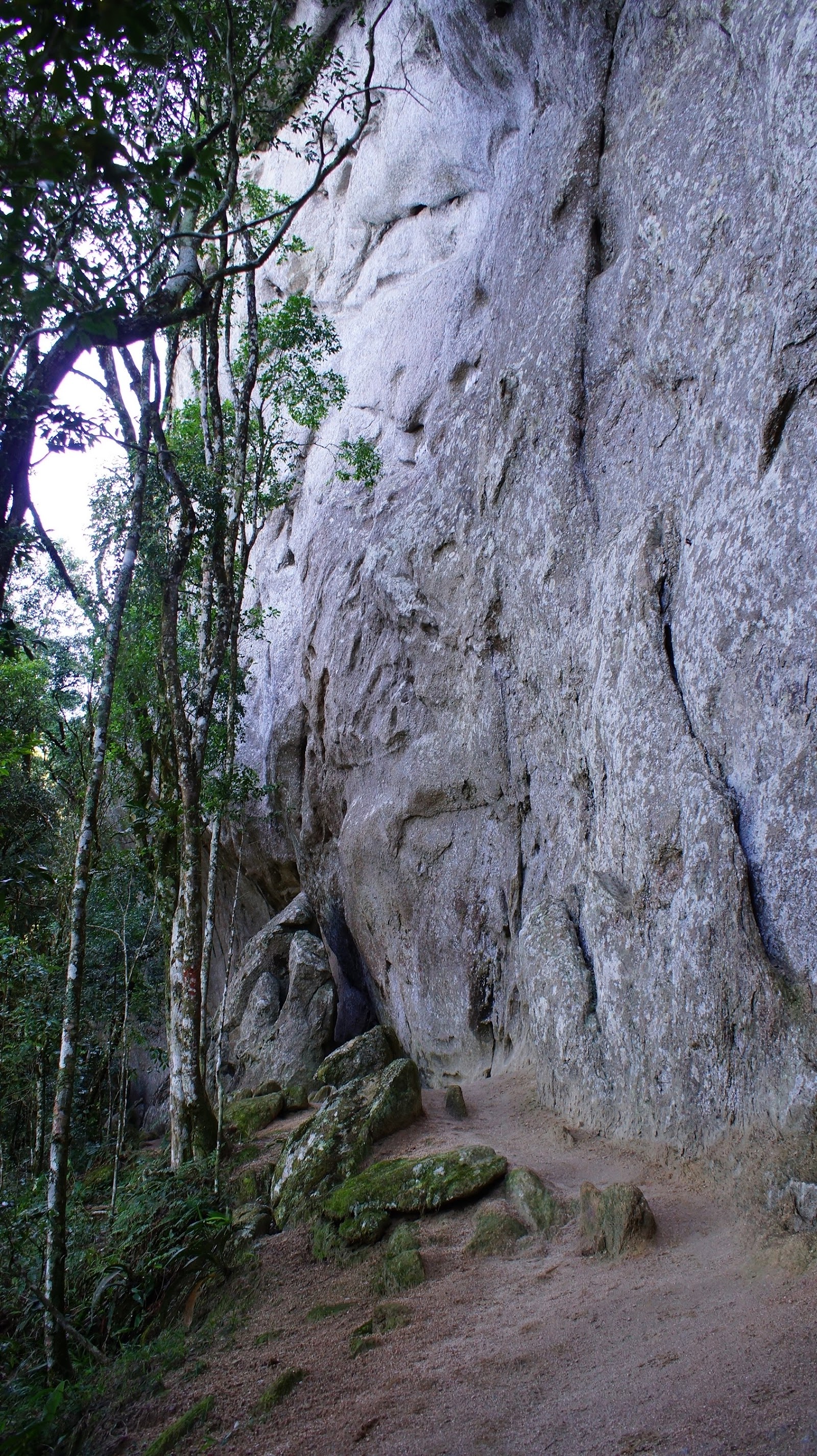 Pico do Papagaio