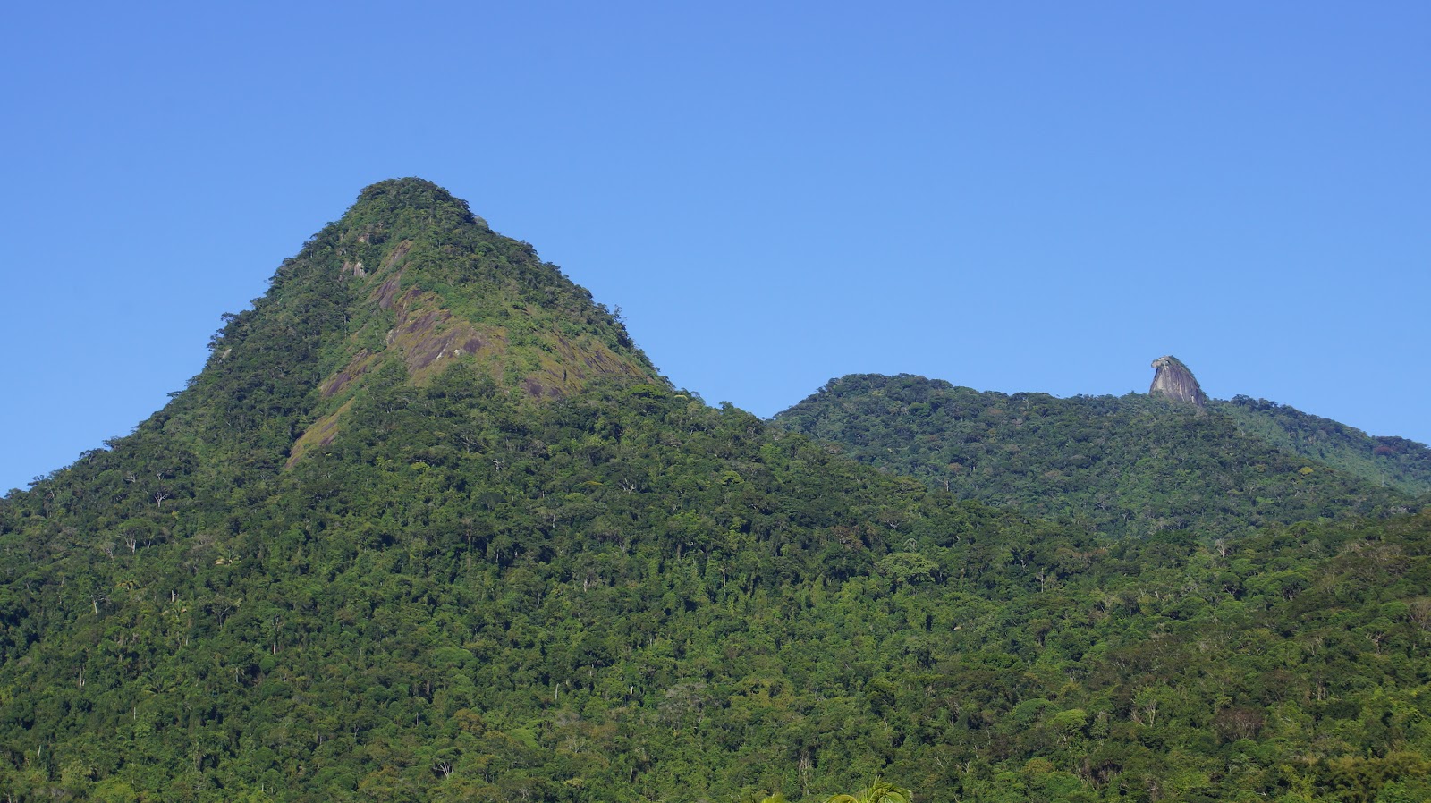 Pico do Papagaio
