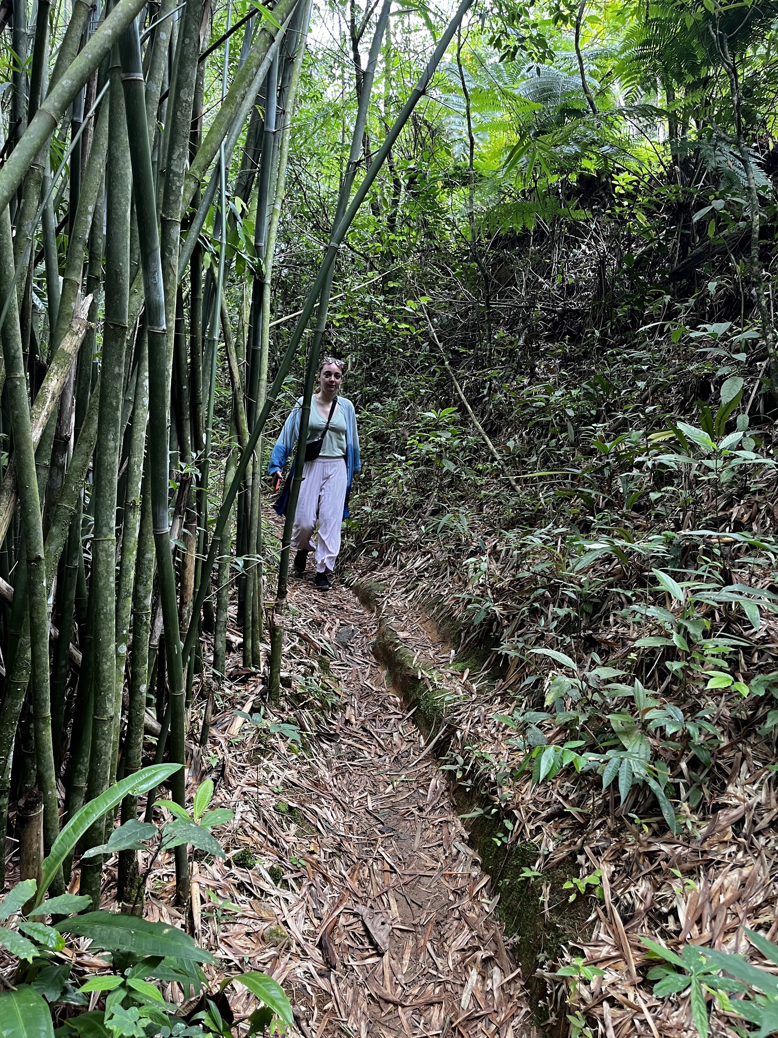 Trilha corta-caminho para Dois Rios