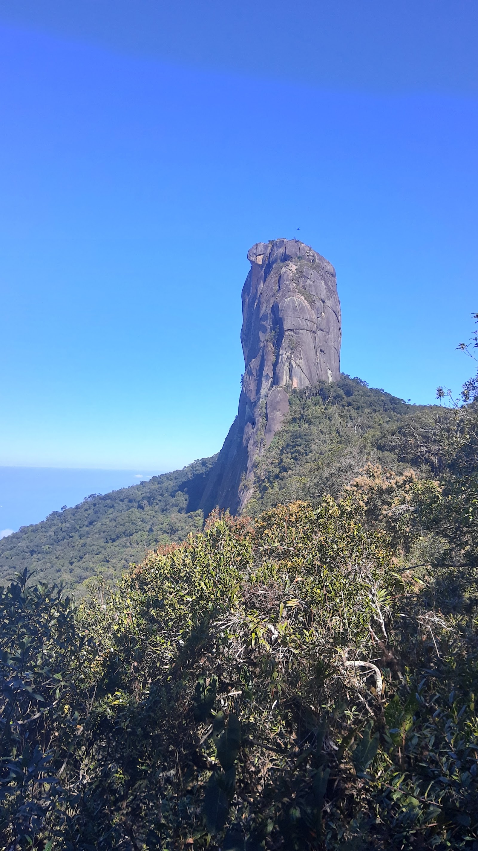 Trilha Pico do Frade (@caminhosdemambucaba))