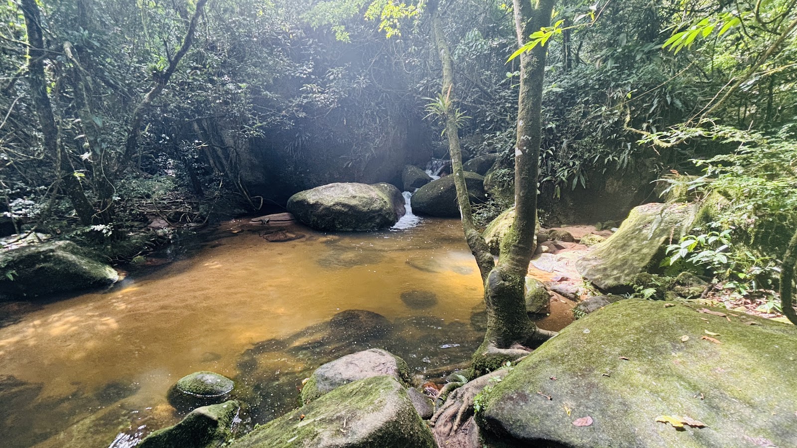 Trilha corta-caminho Abraão