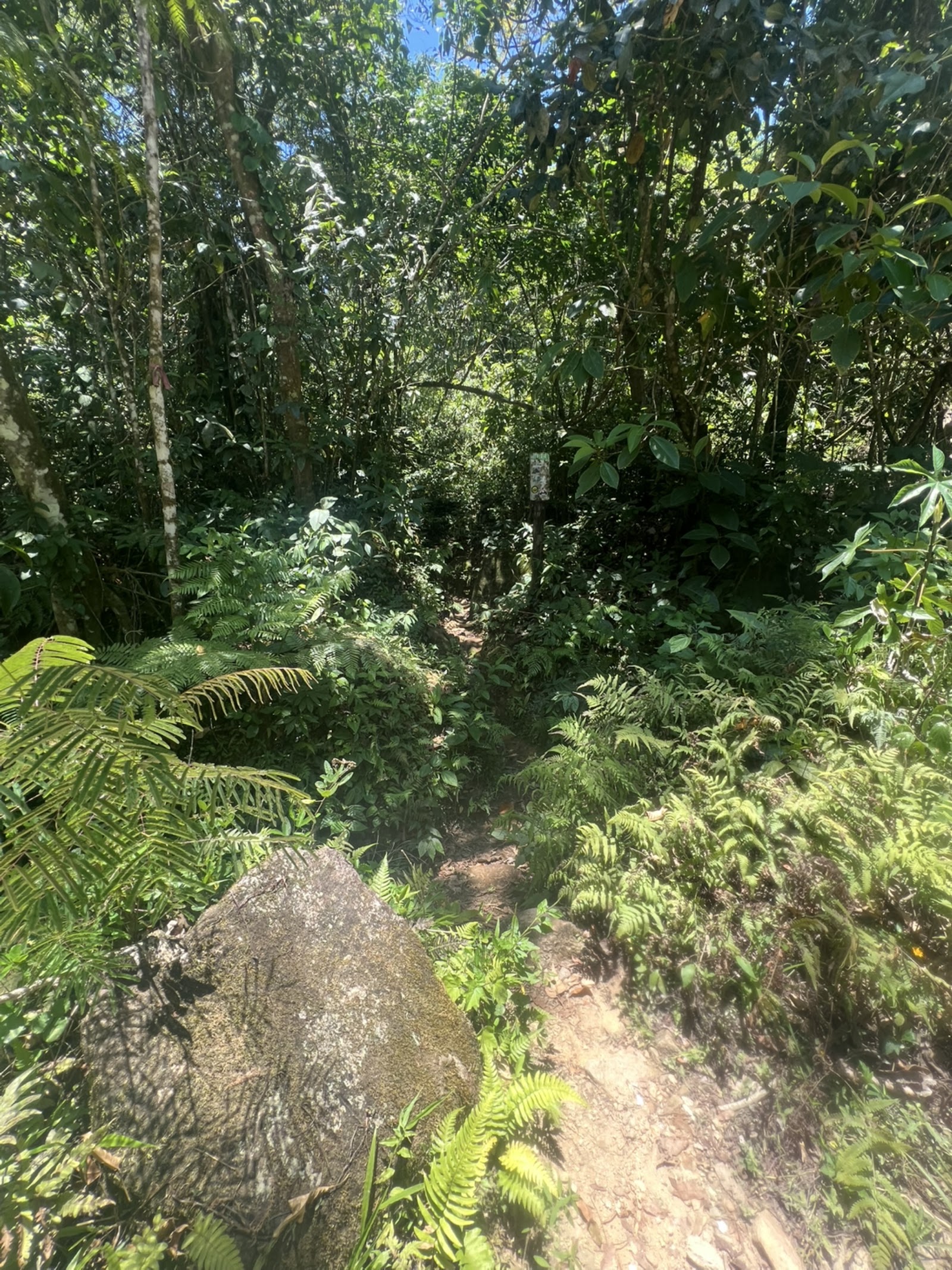 Trilha corta-caminho Abraão