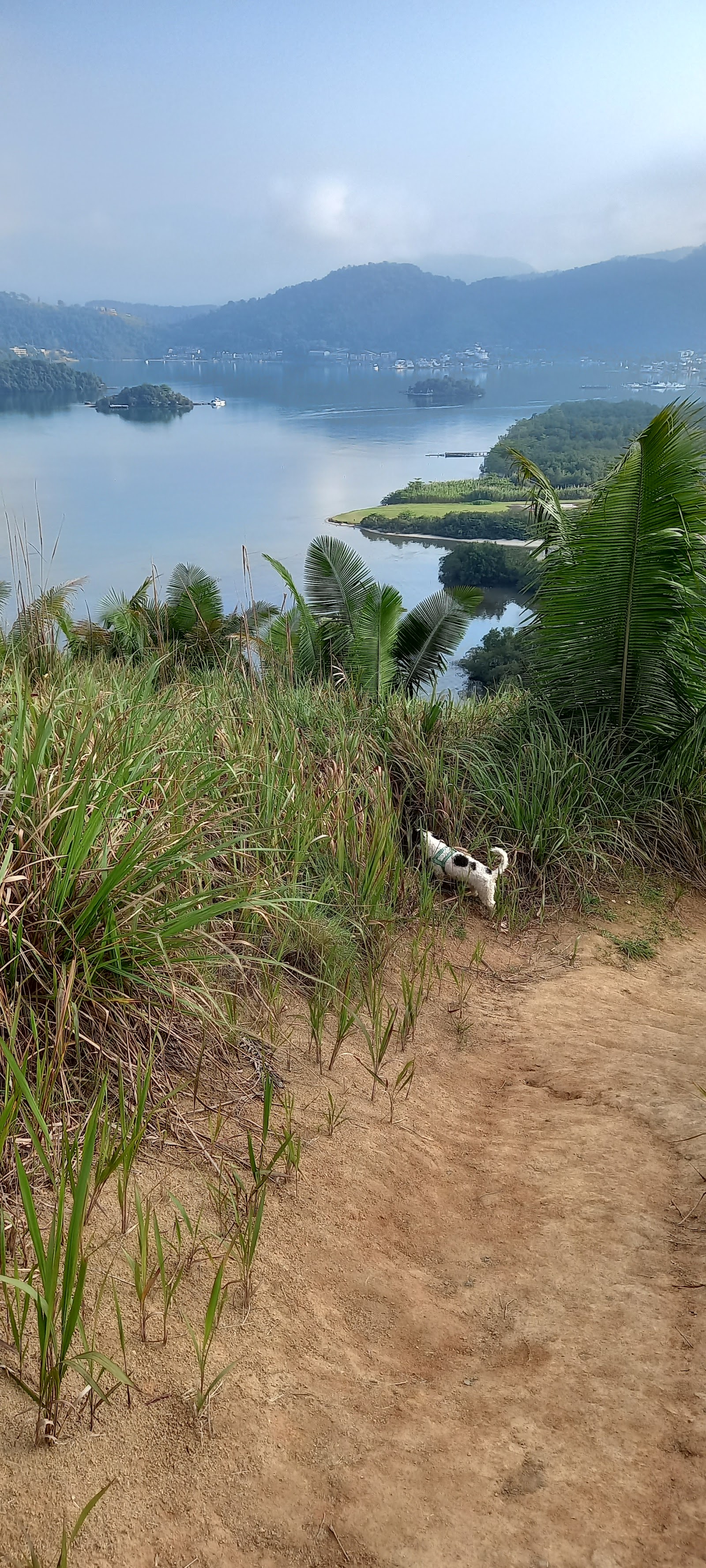 Mirante da Enseada