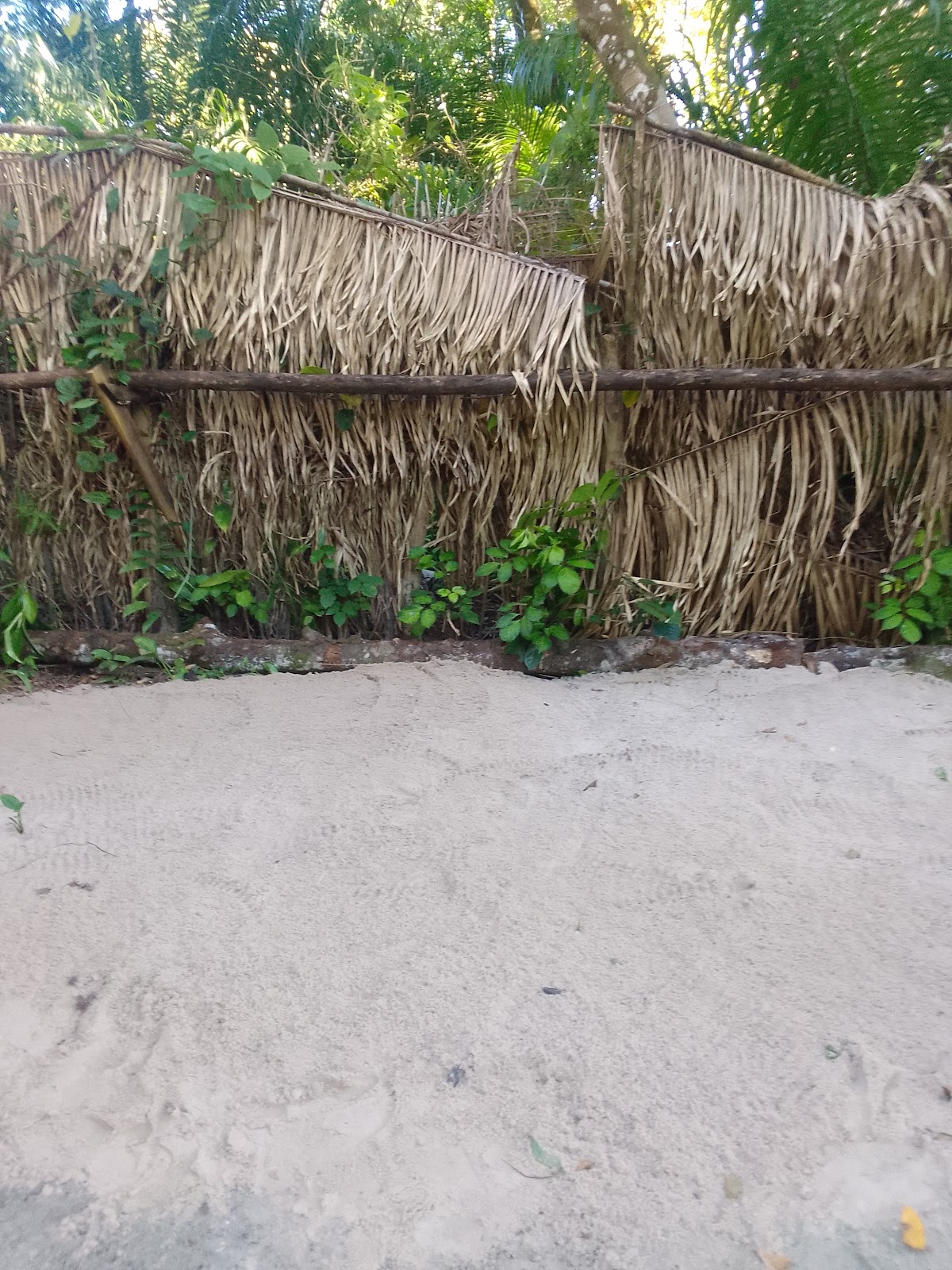 Camping Aimoré