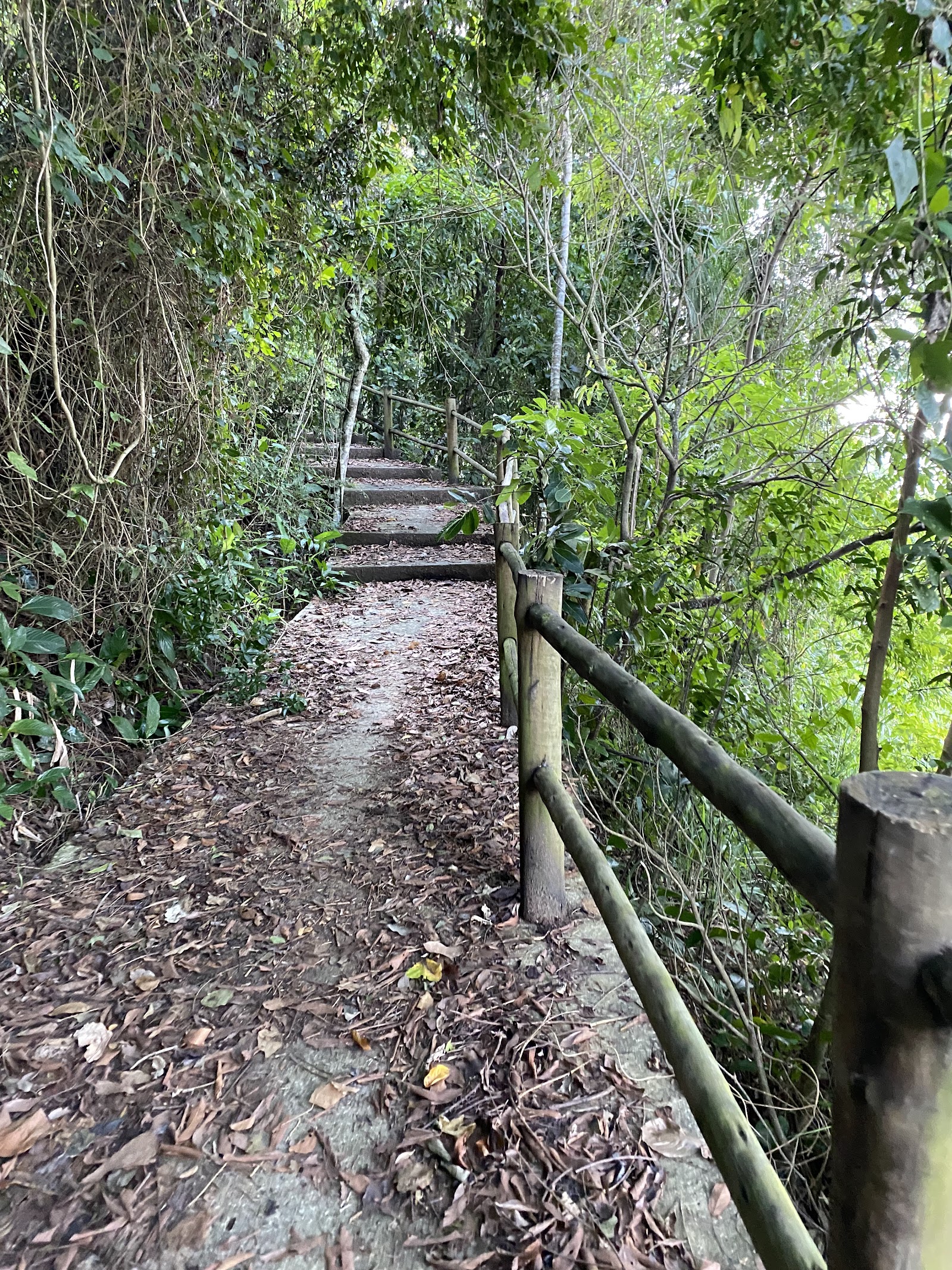 Trilha da Gipóia